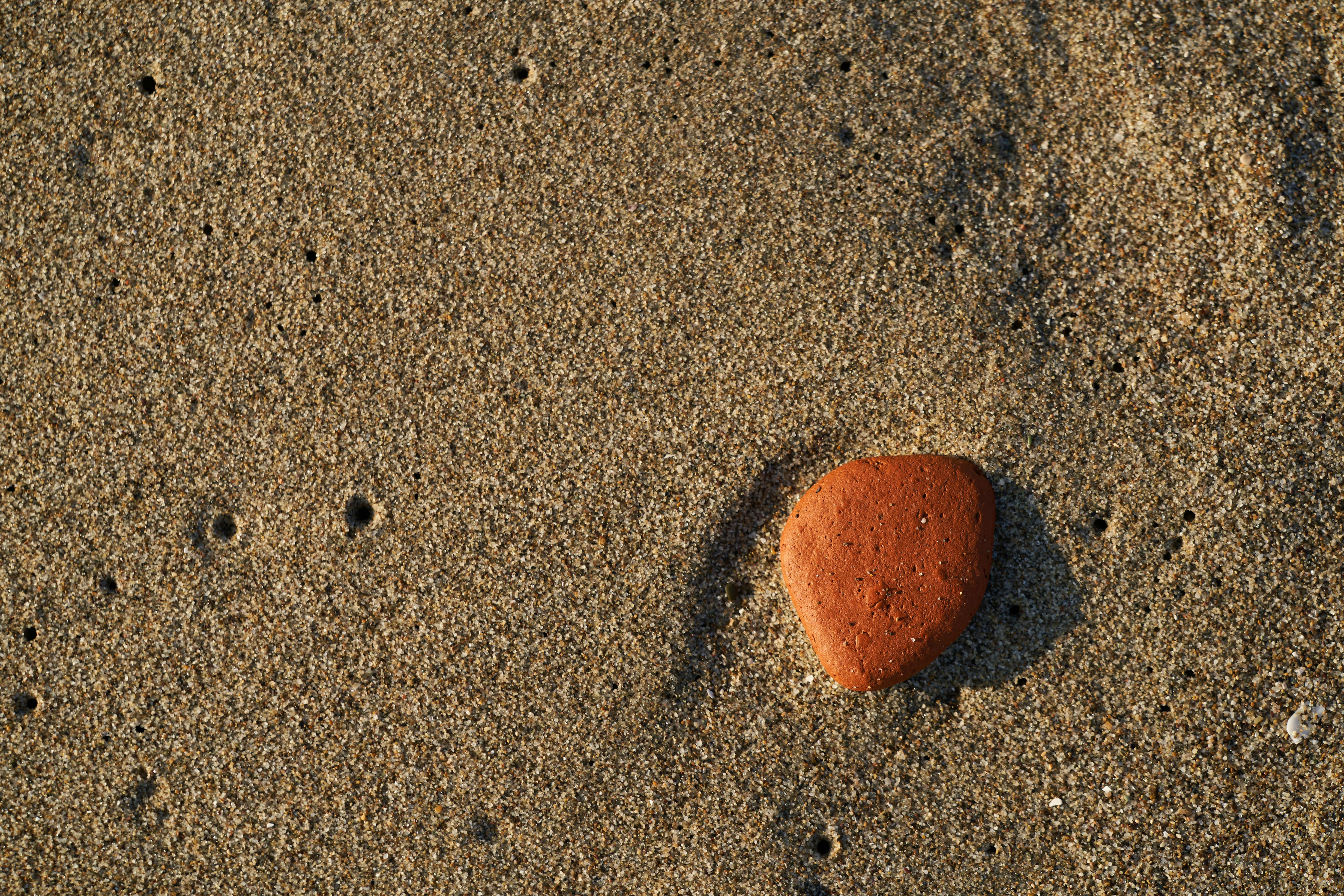 Photo by wolfgang_hasselmann