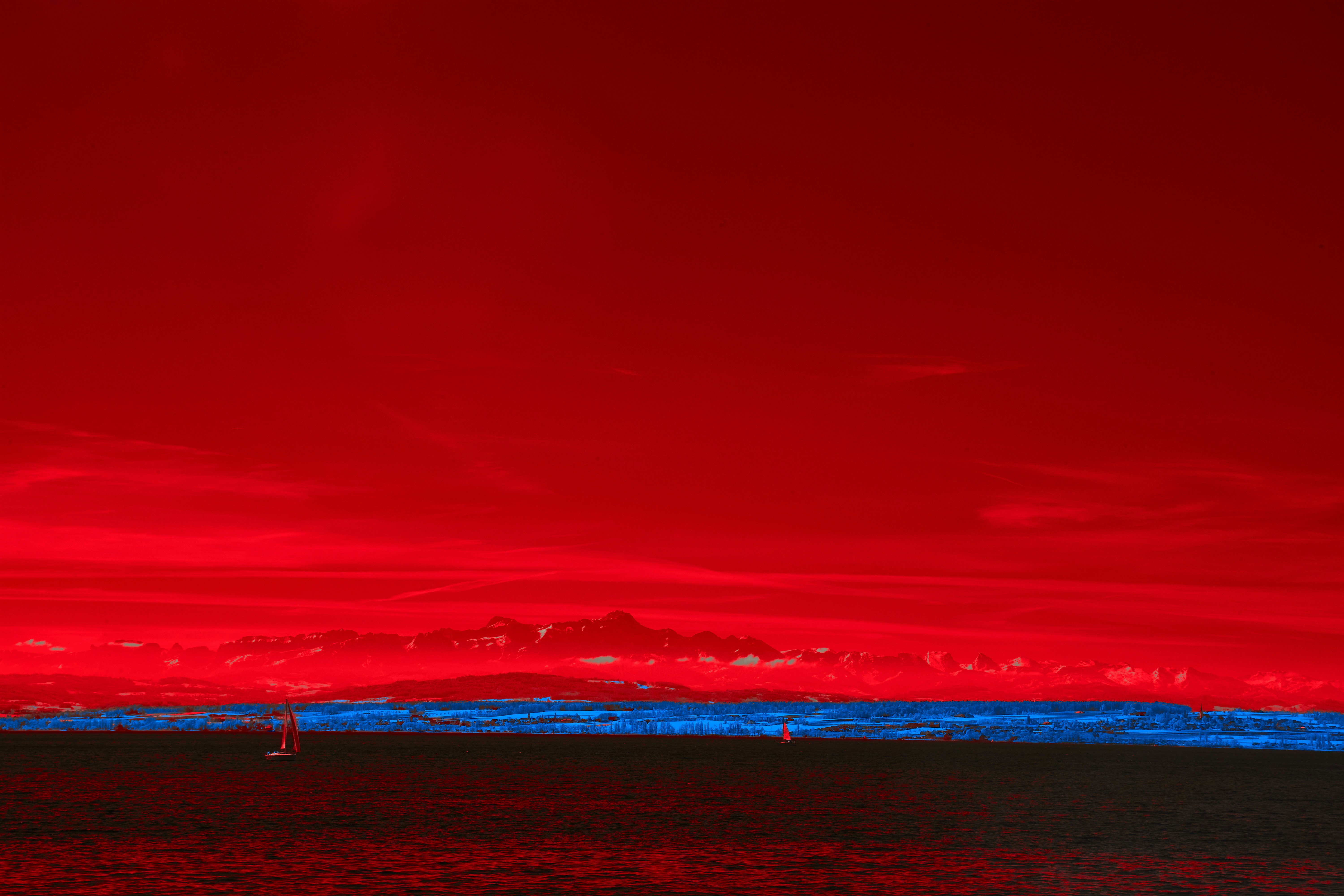 Photo by wolfgang_hasselmann