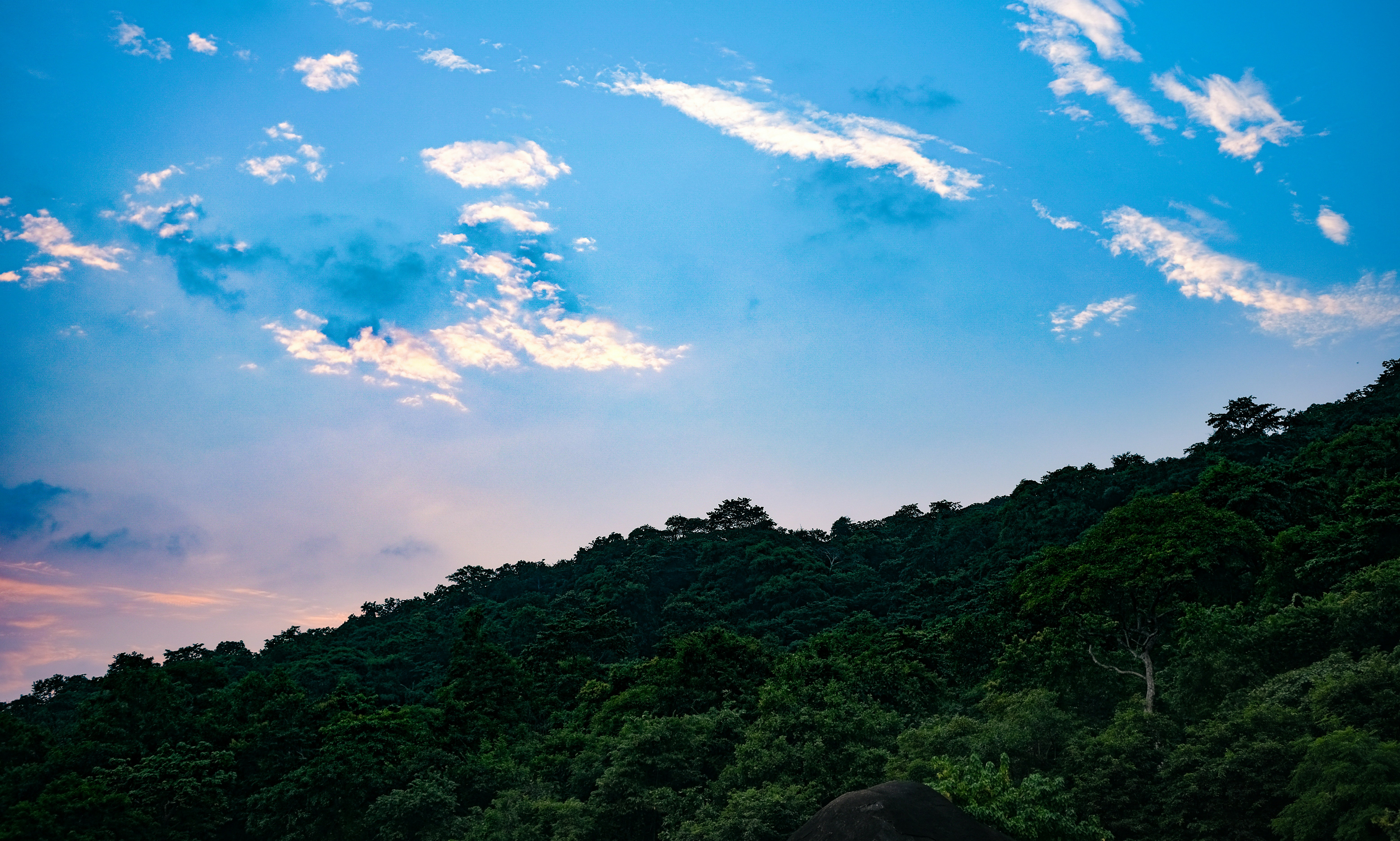 Photo by thenikonguy_