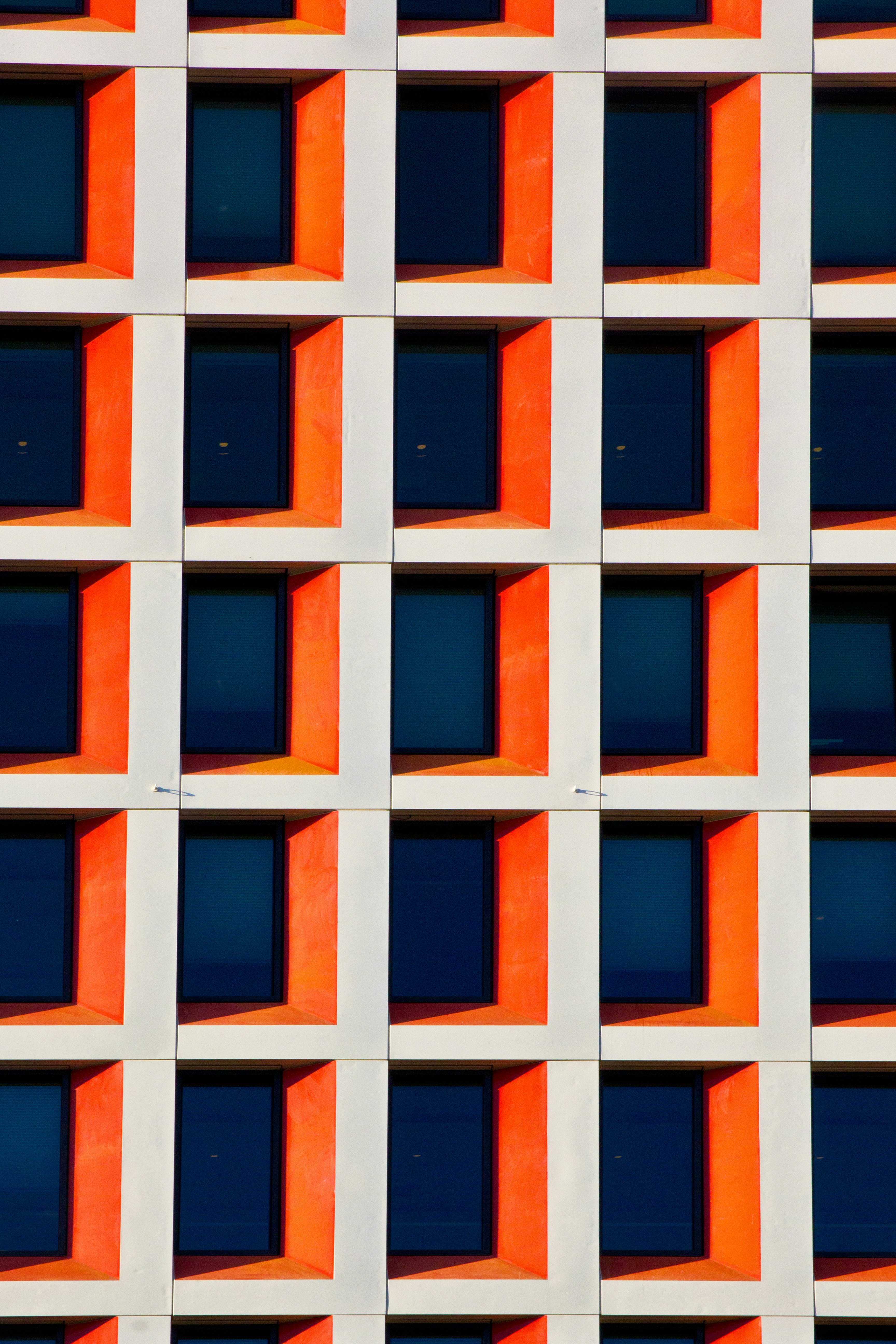 Photo by conniedevries