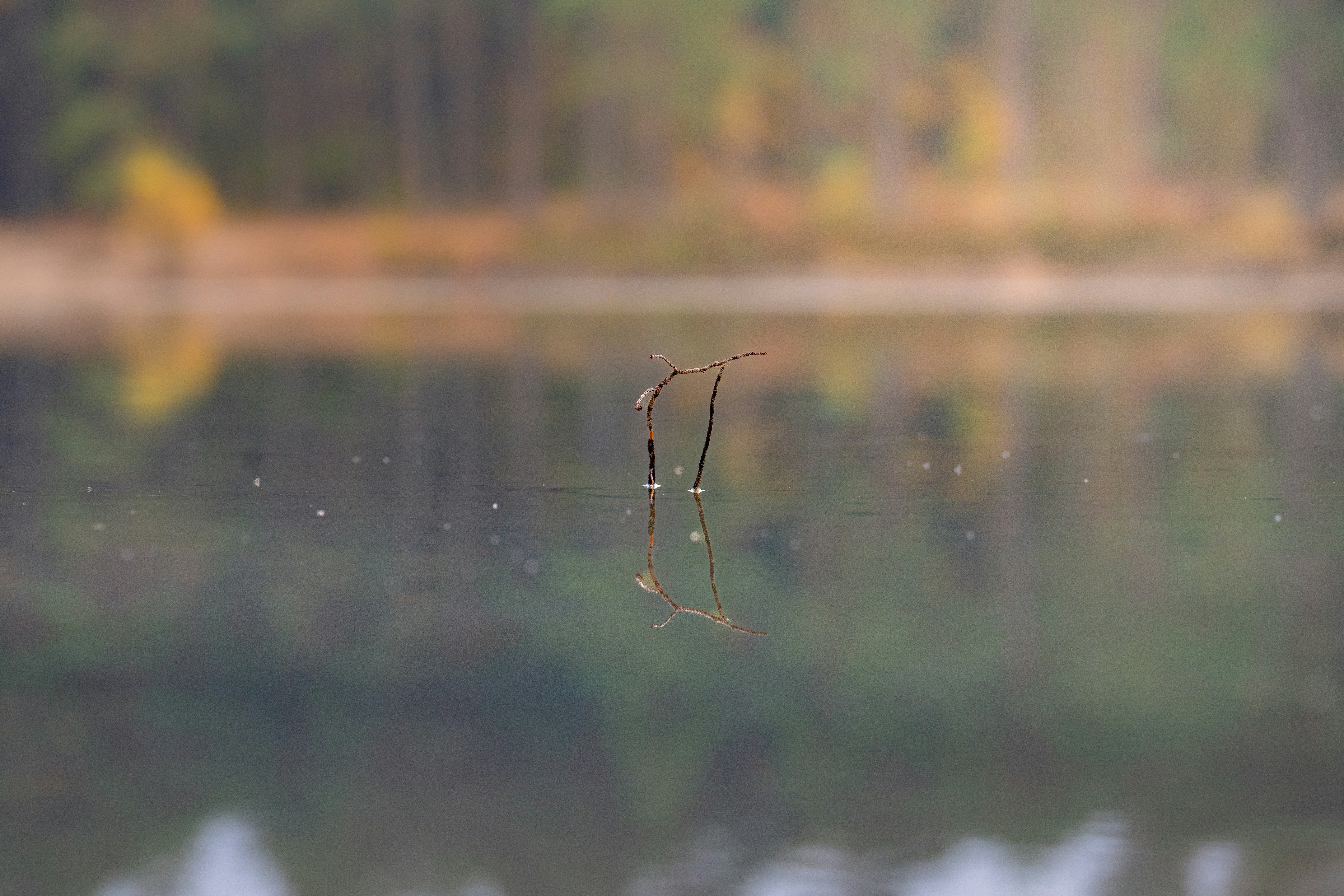 Photo by jonas_binderup