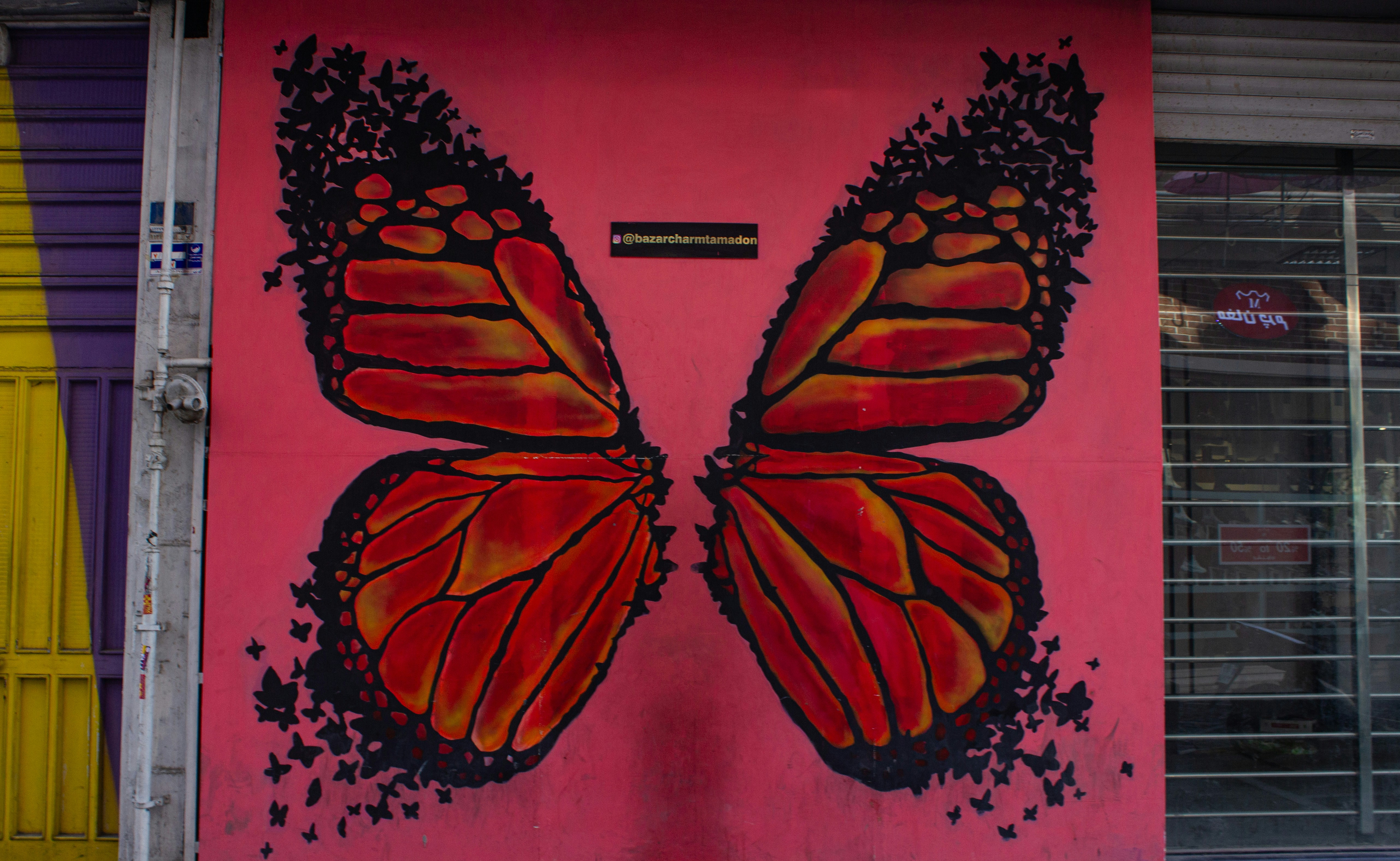 A pink door with a butterfly painted on it