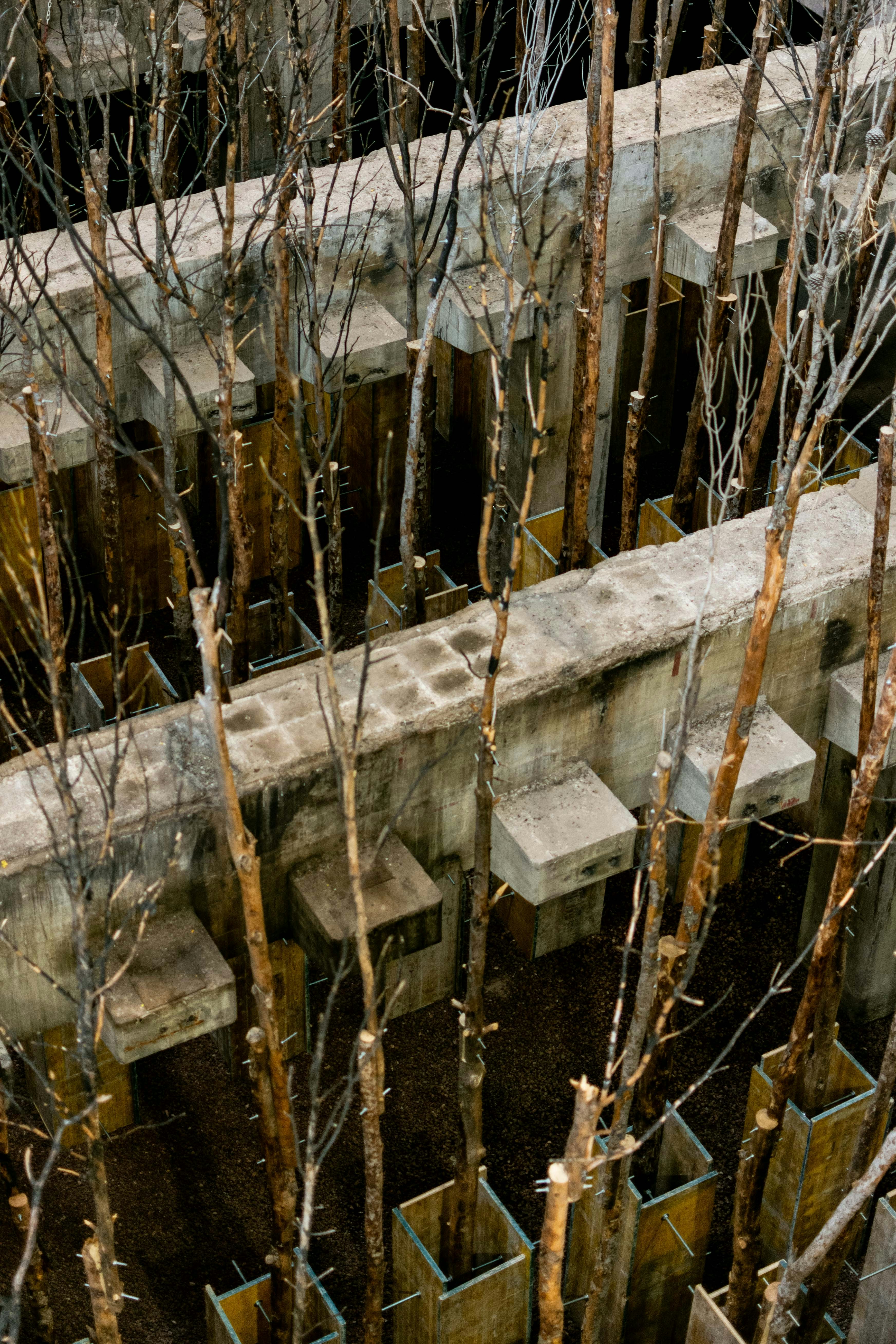 A group of concrete blocks surrounded by trees