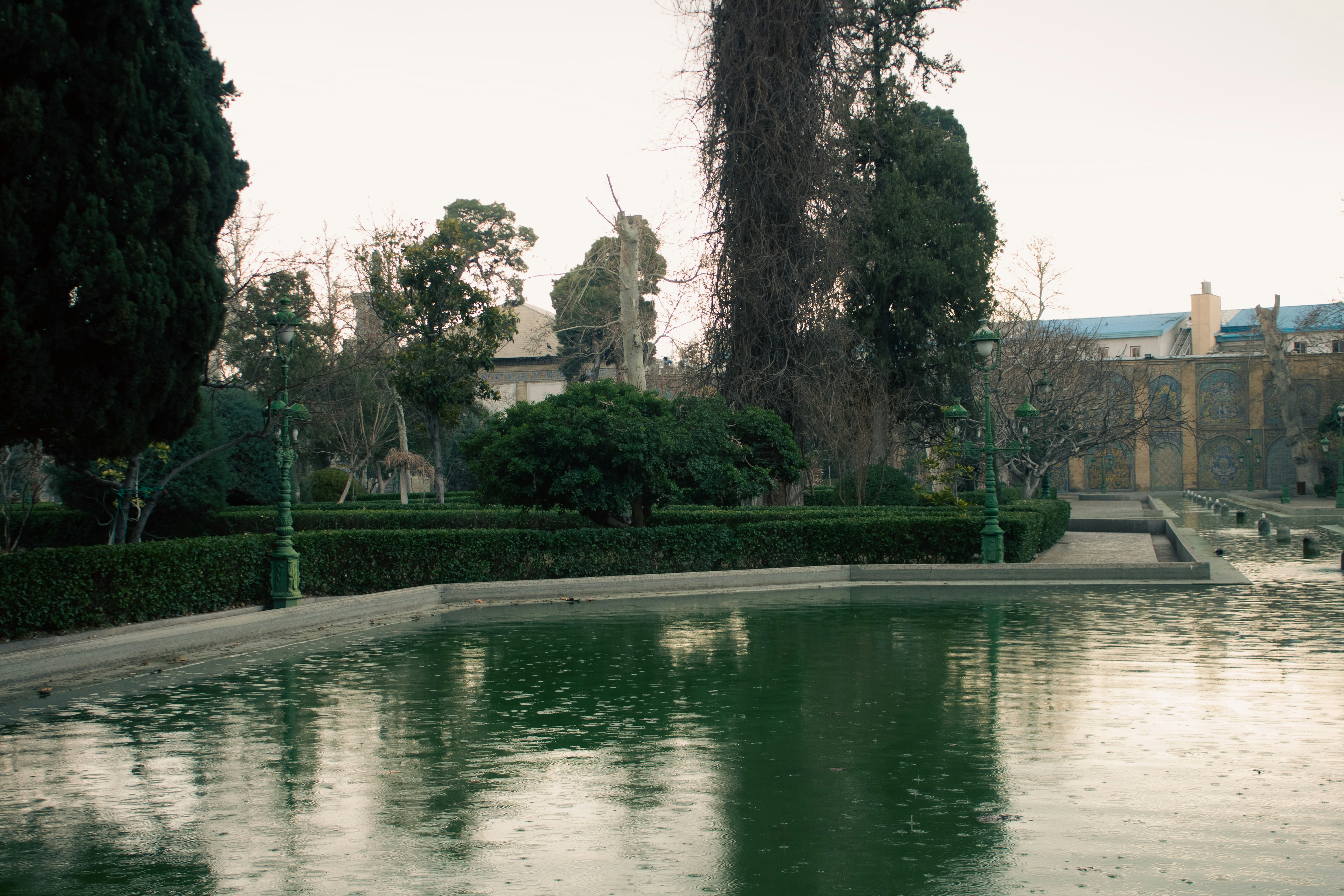 wedding album background, wallpaper, Wedding Photo Album: Creating a Timeless Keepsake 4