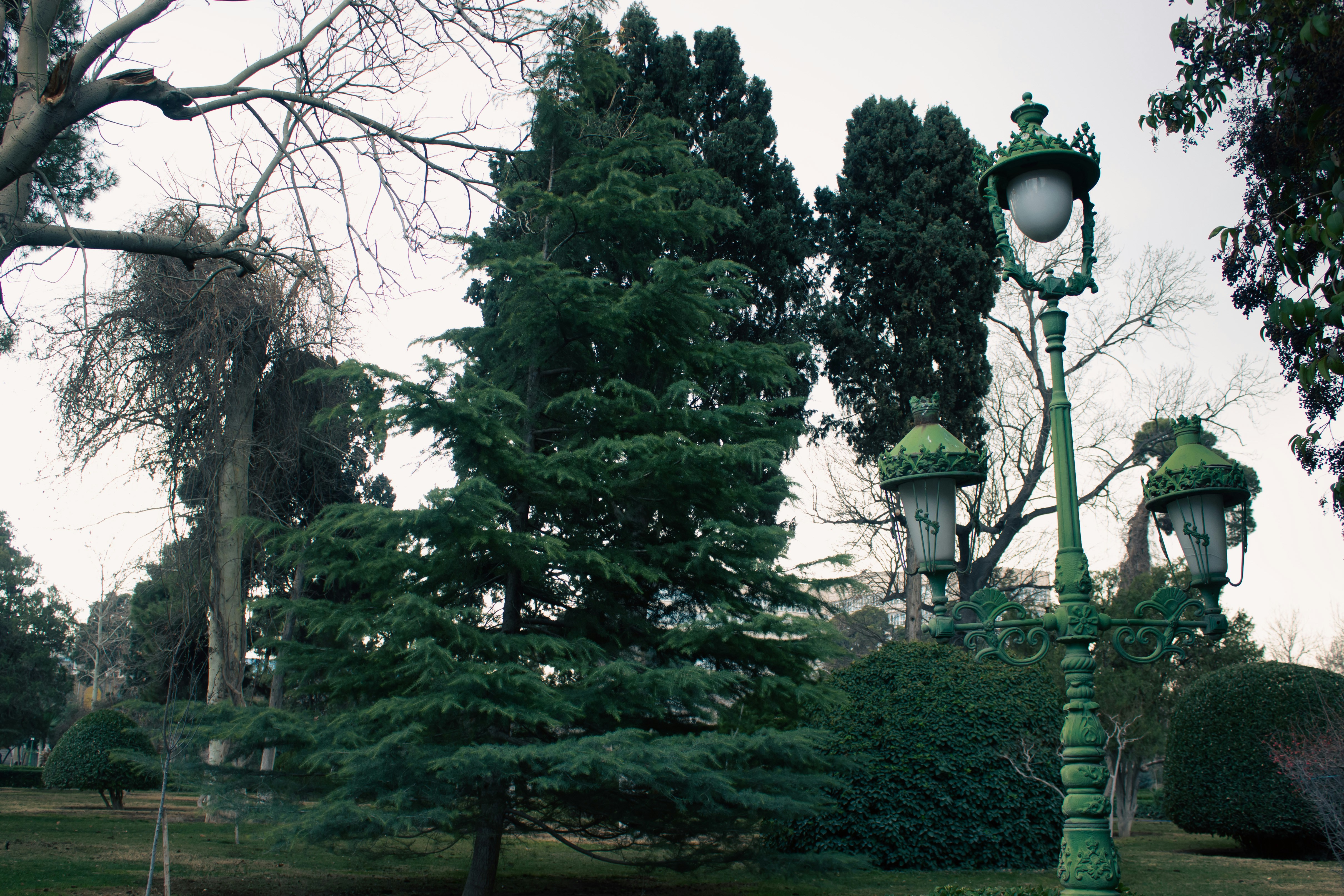 Photo by elham_frame