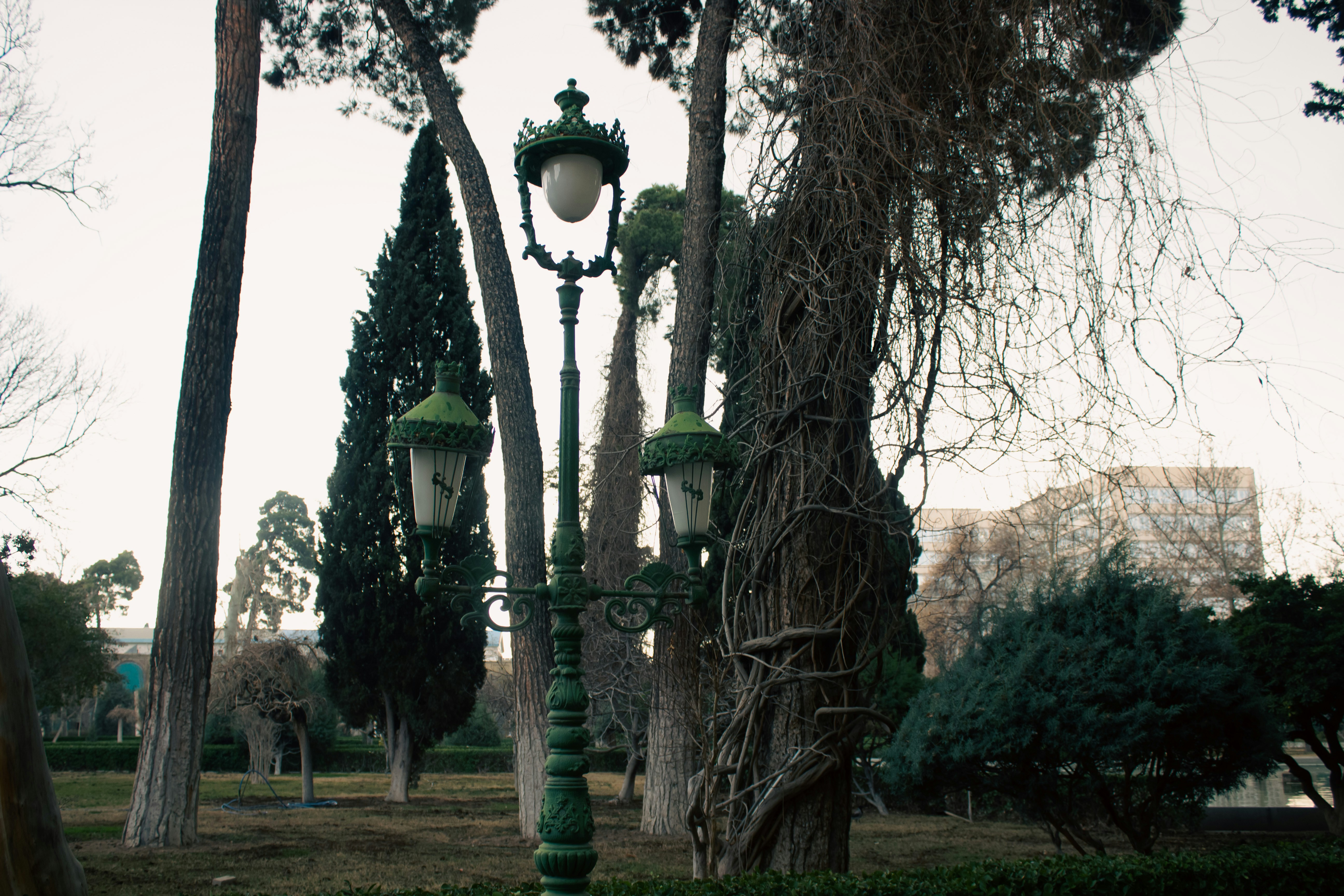 Photo by elham_frame