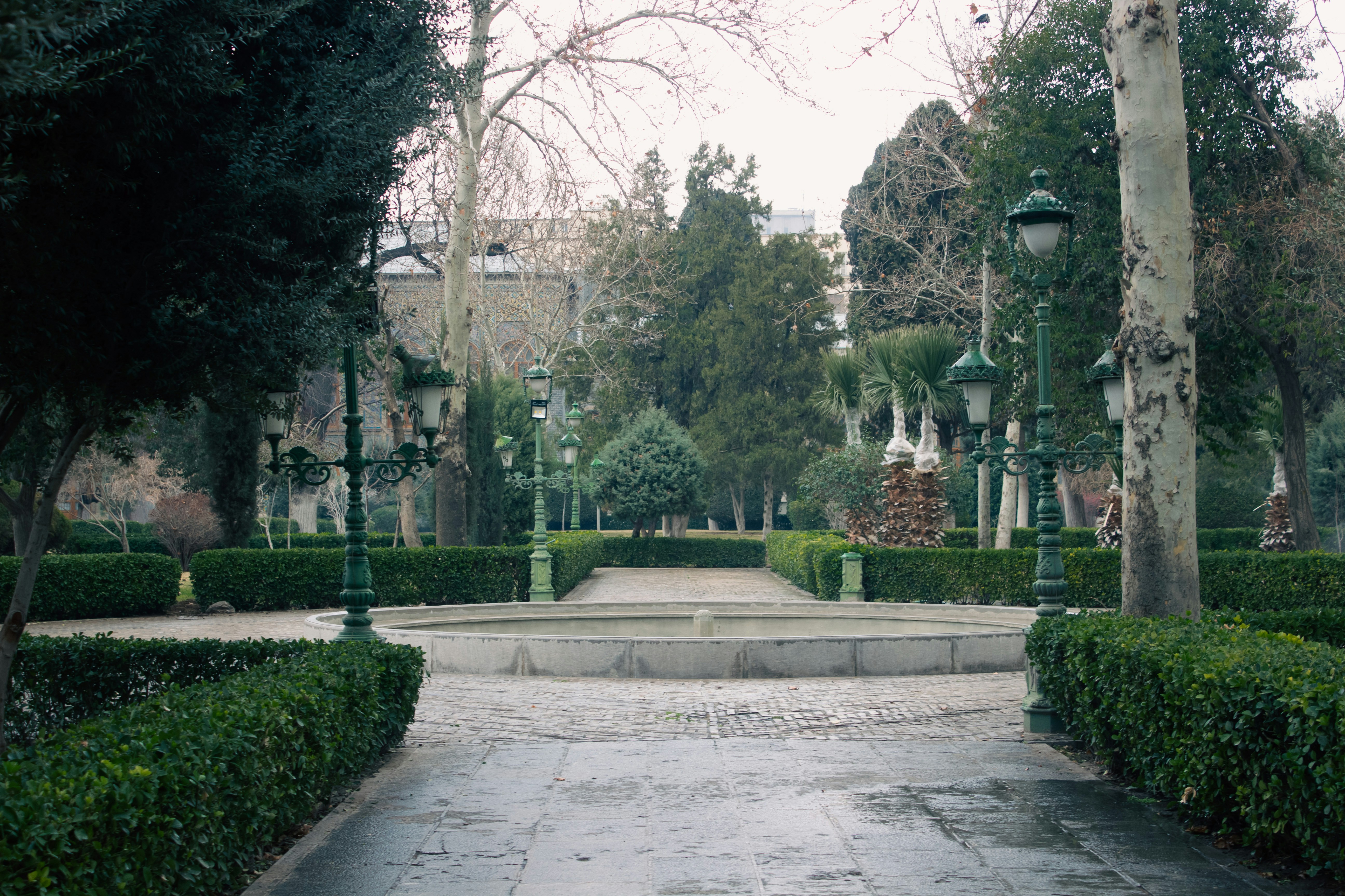 A park with a lot of trees and bushes