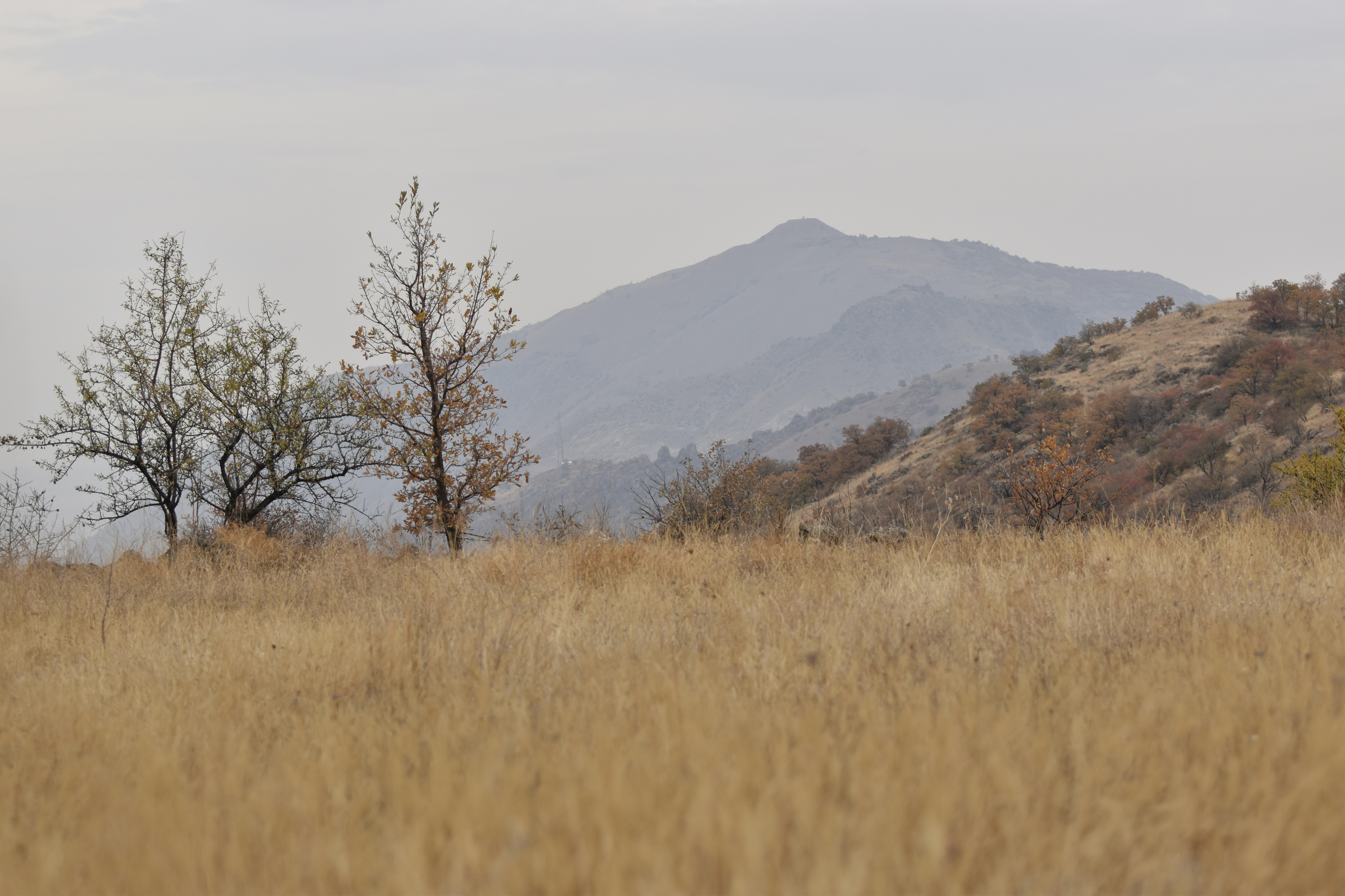 Photo by mustafakonuk