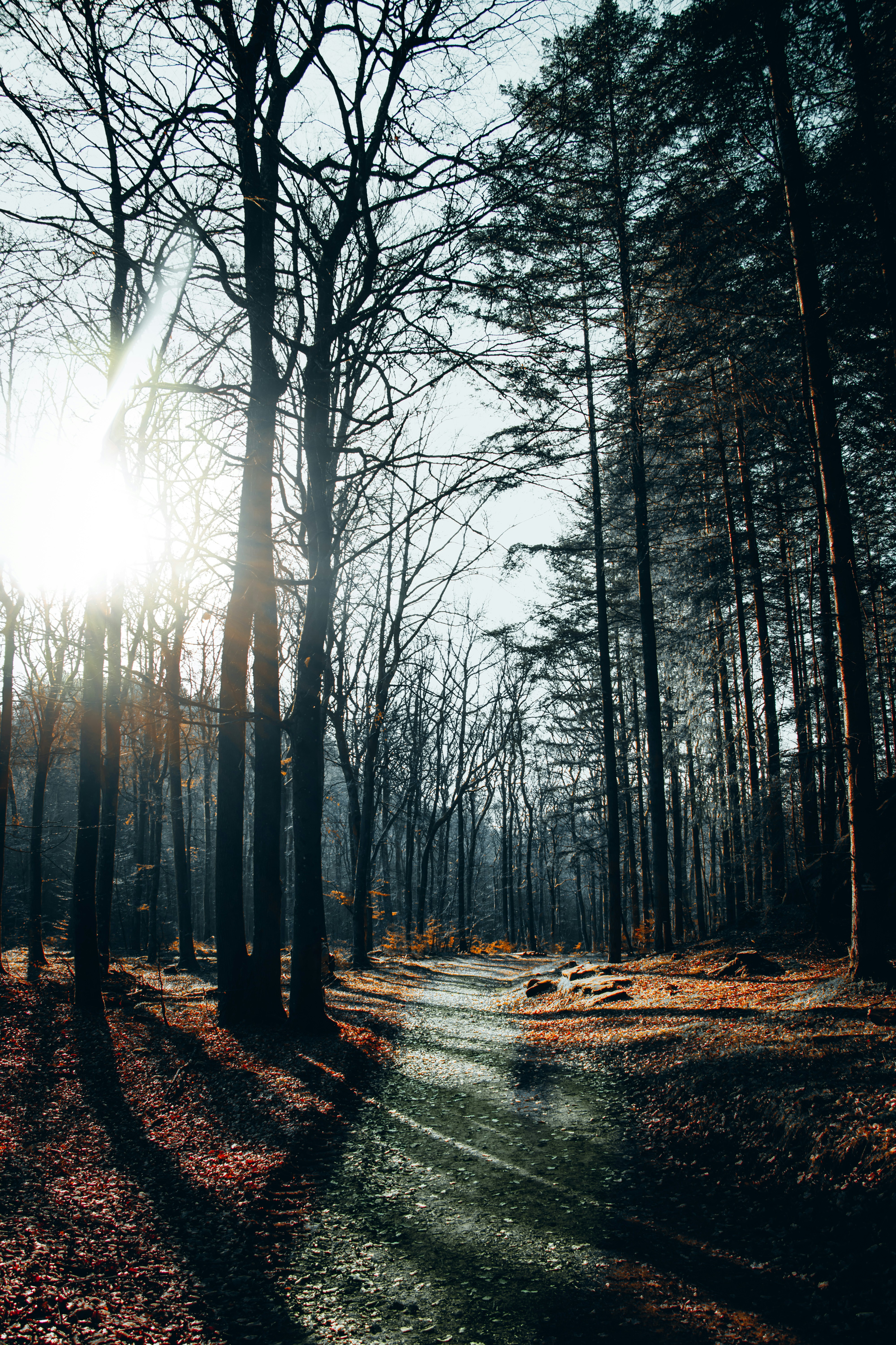 Photo by esmirbilali