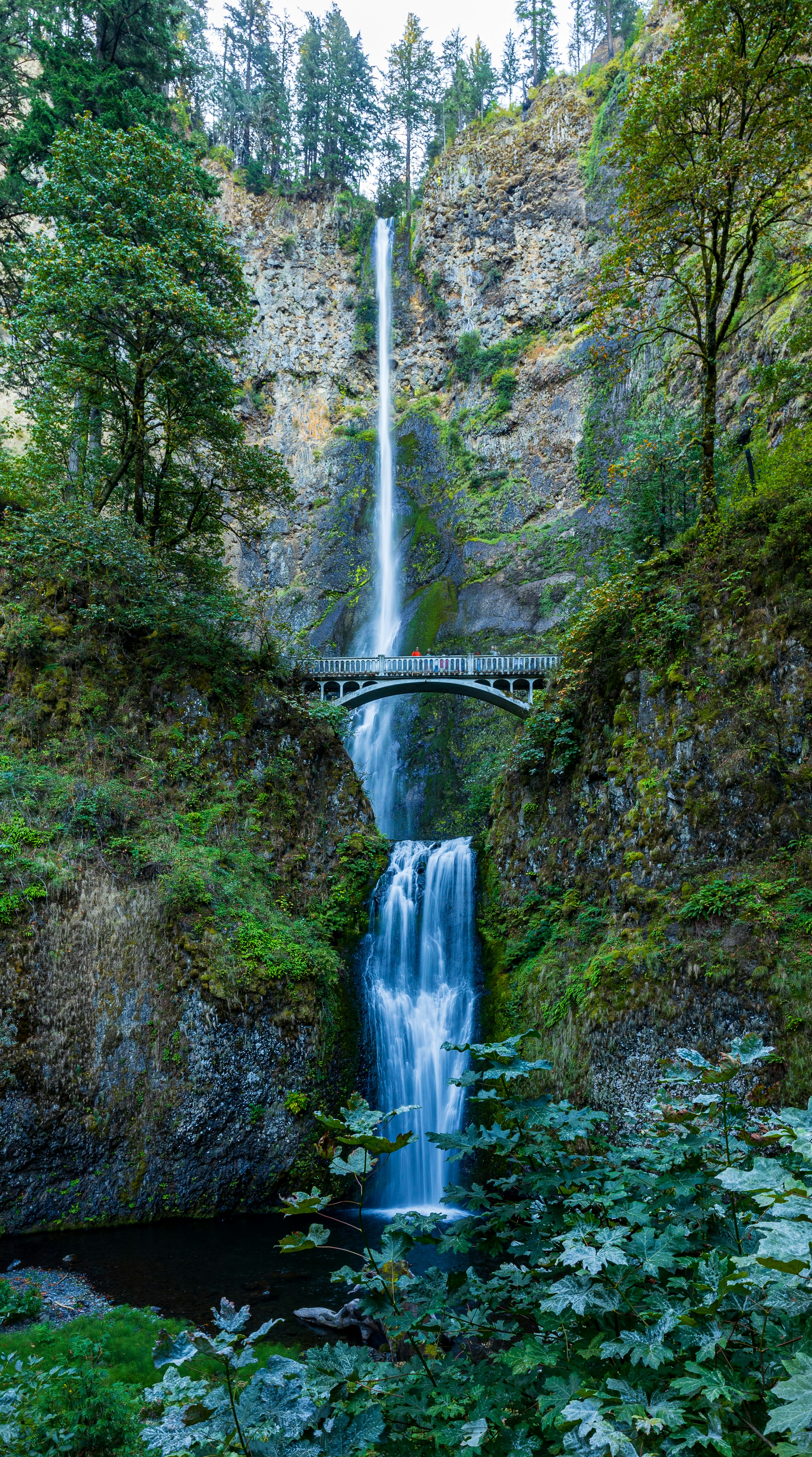 Photo by lancetraveler60