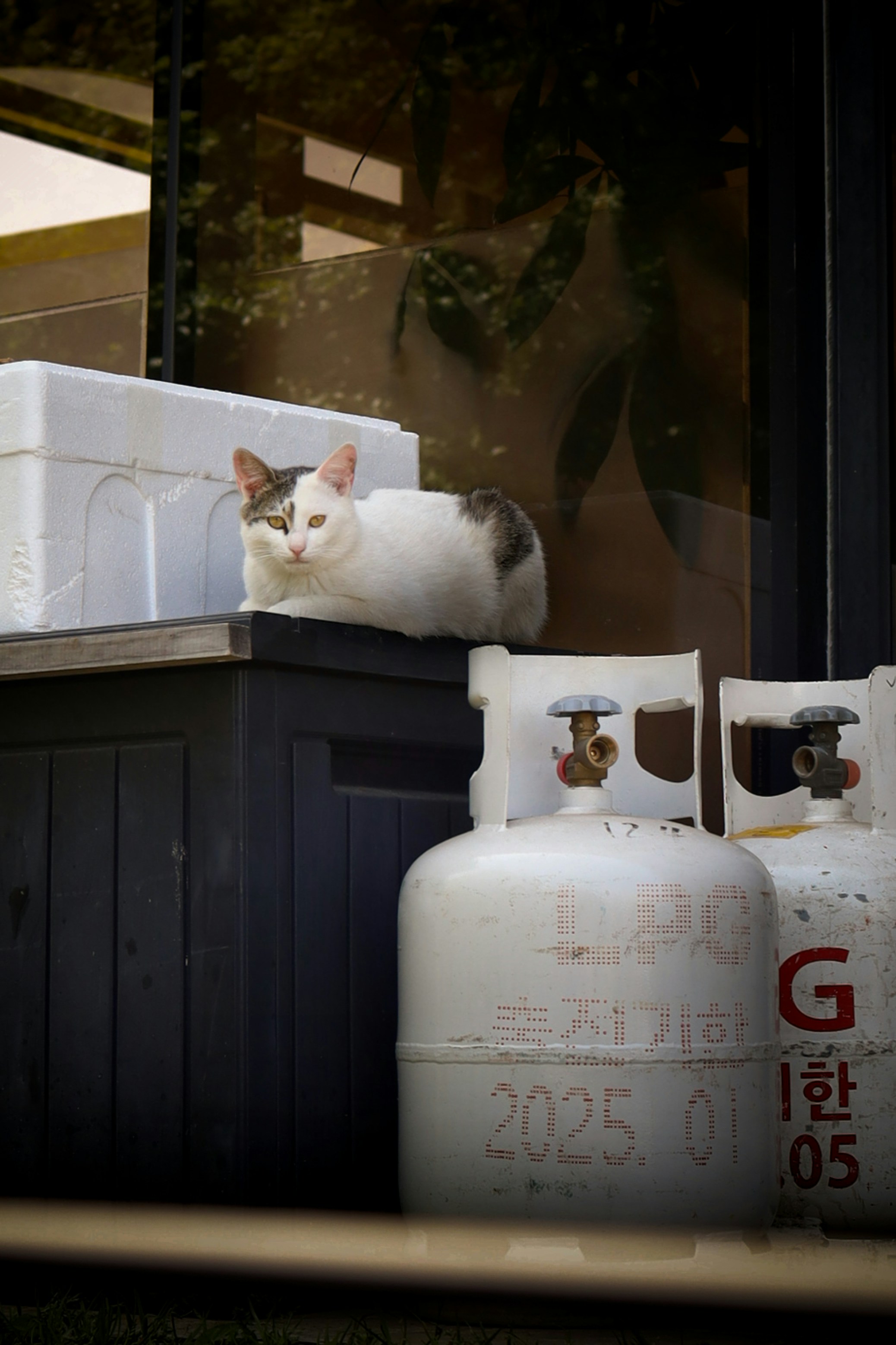 Island Paradise at the Crossroads of Tradition and Modernity