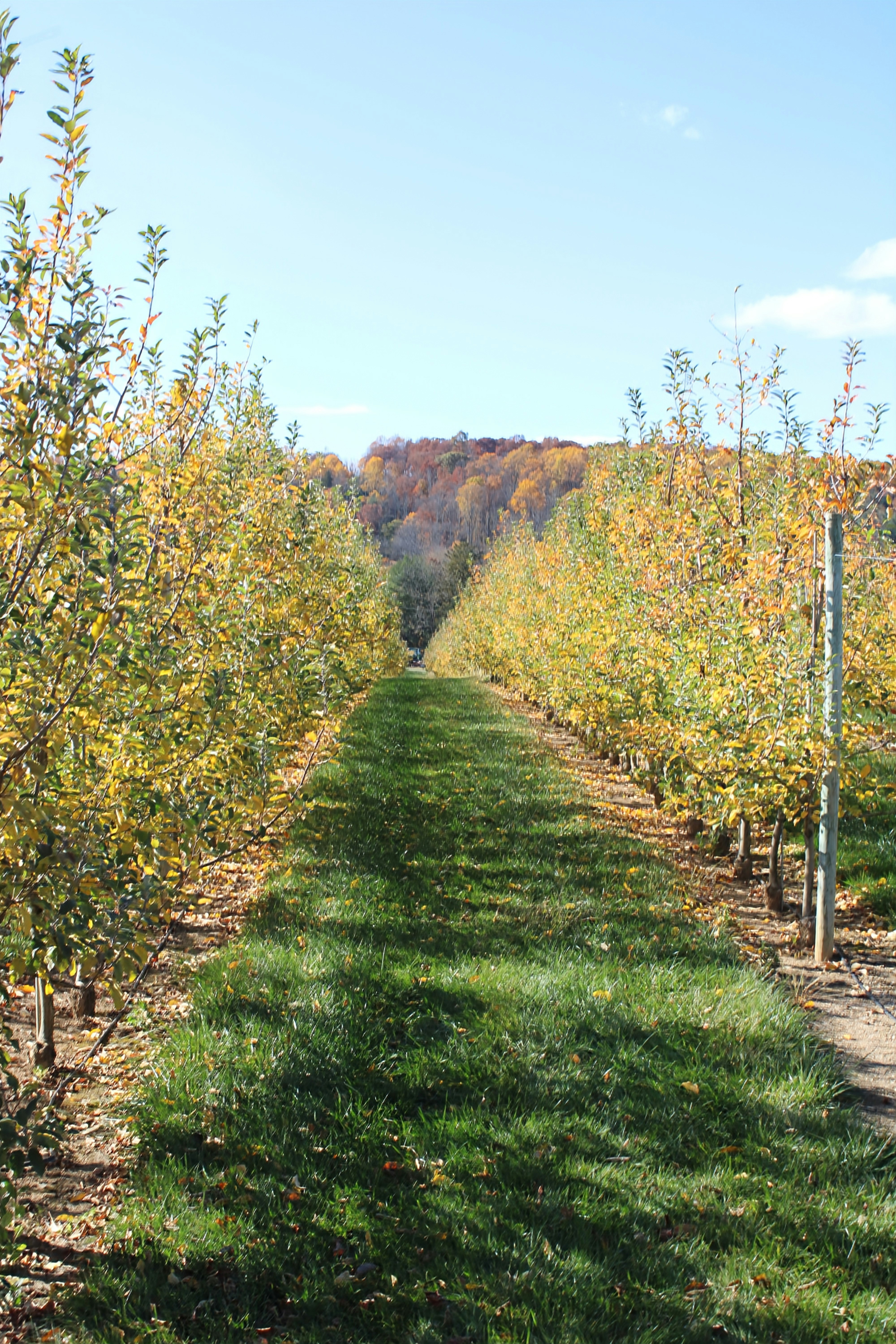 Photo by alyssacoulter12