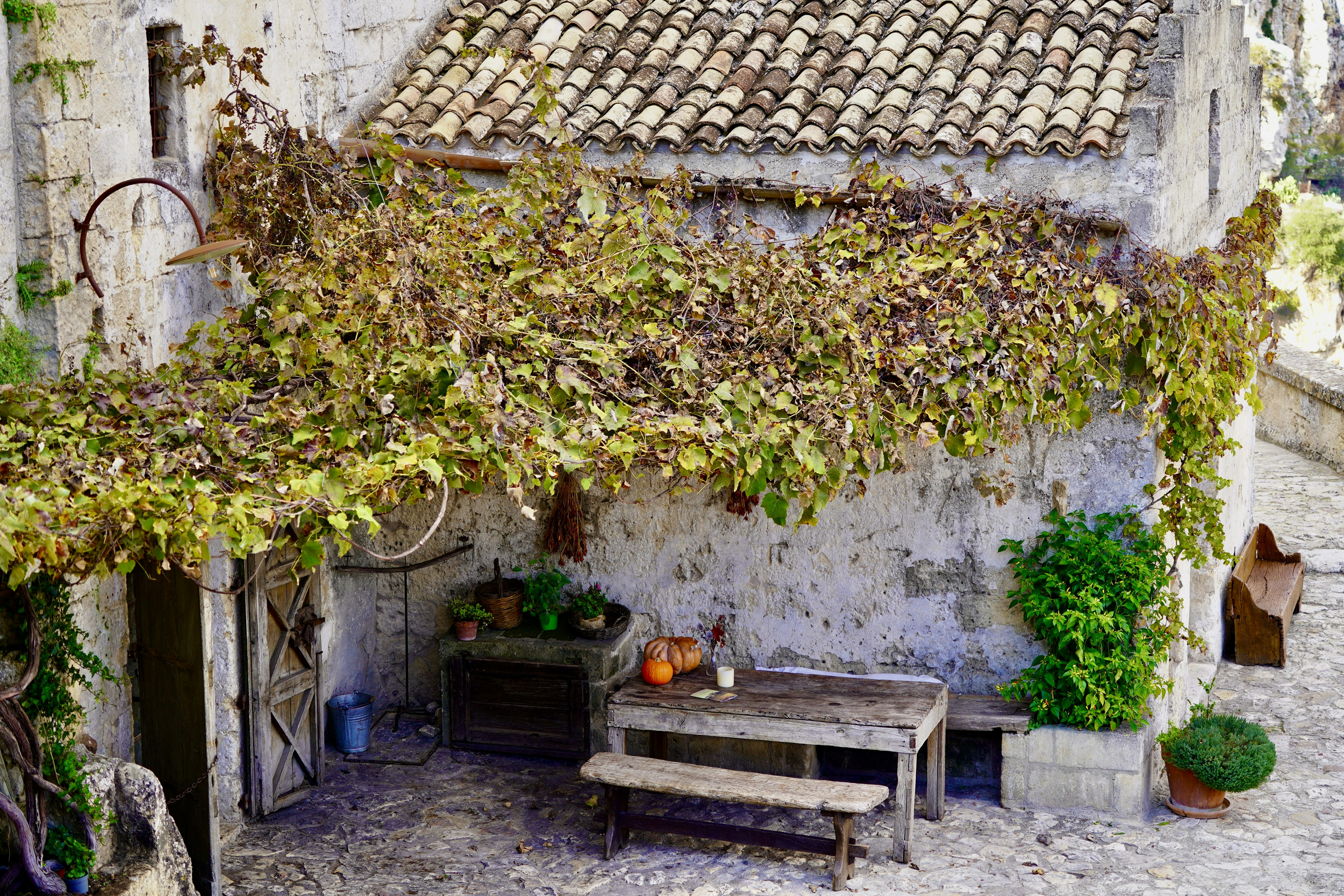 Photo by loloscott78