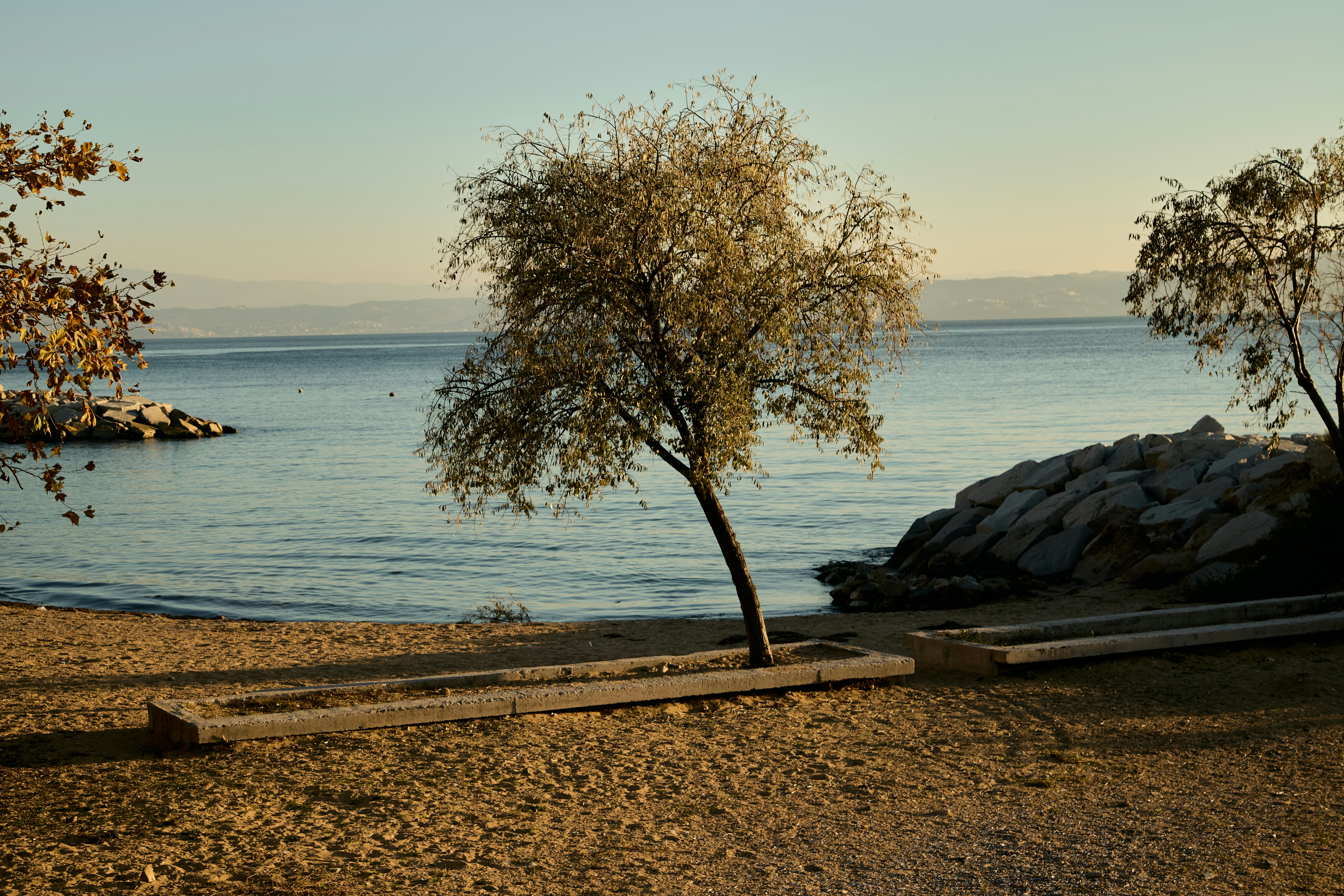 Photo by tunagraphy