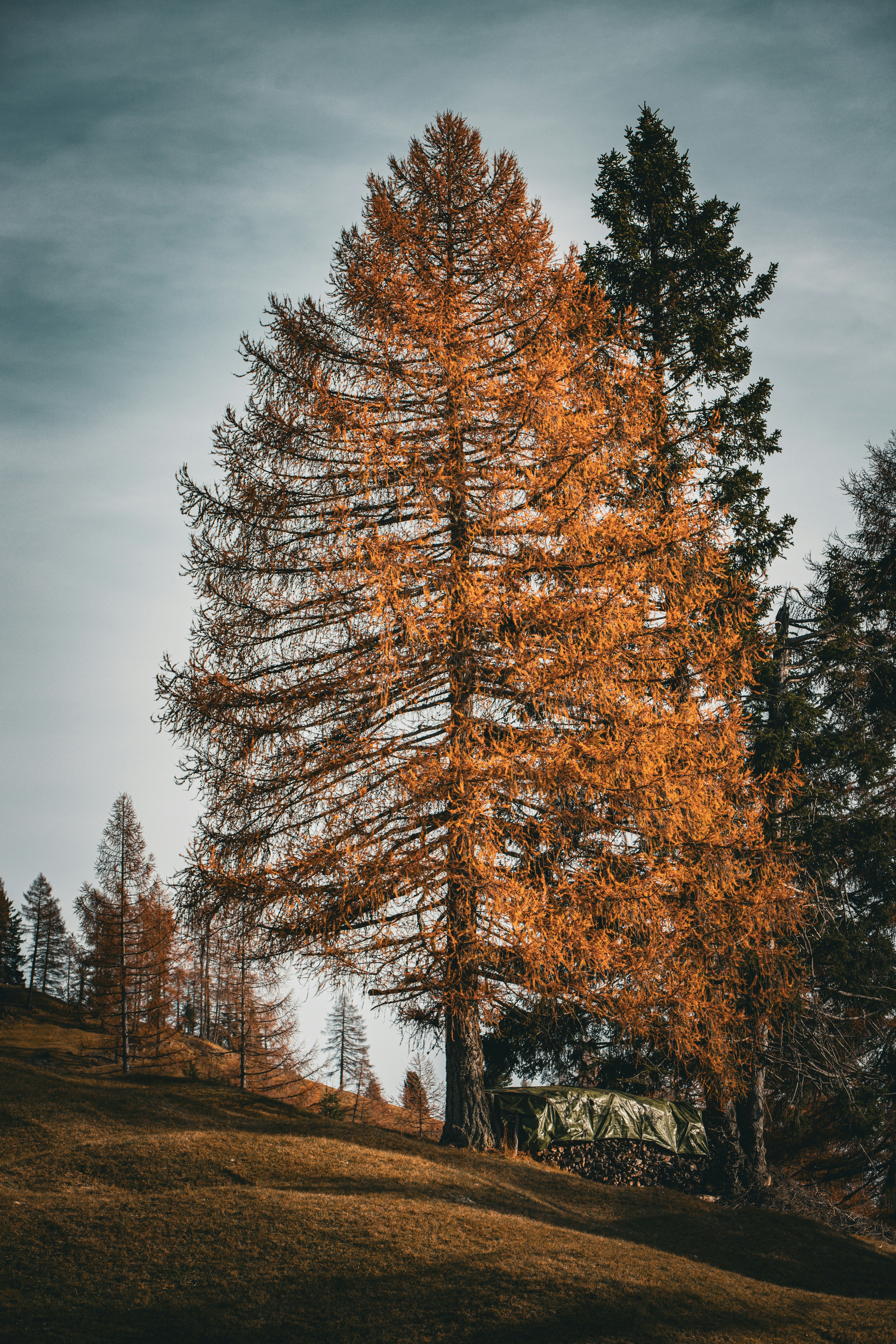 Photo by shutter_speed_