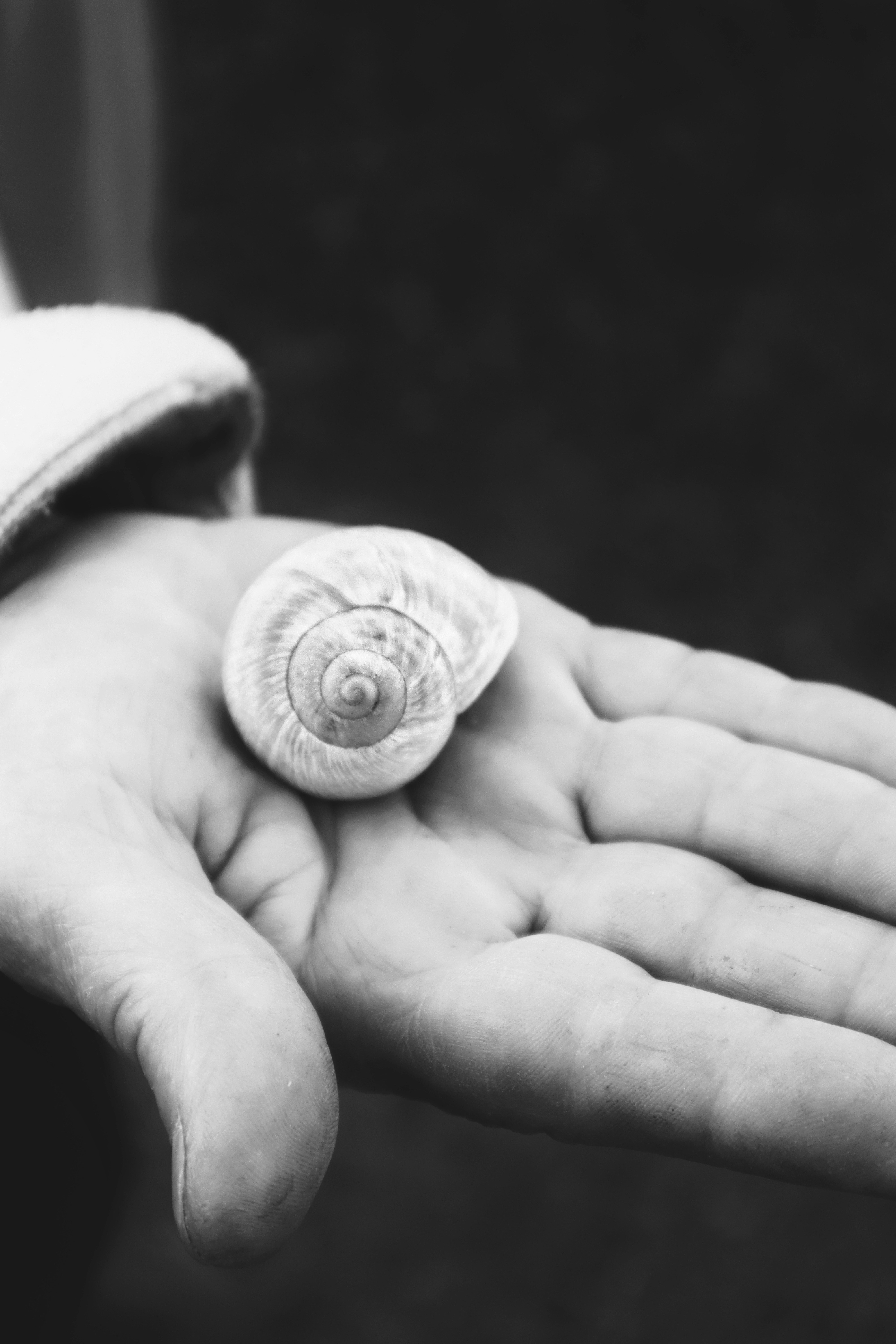 Photo by andaaa_lupulet