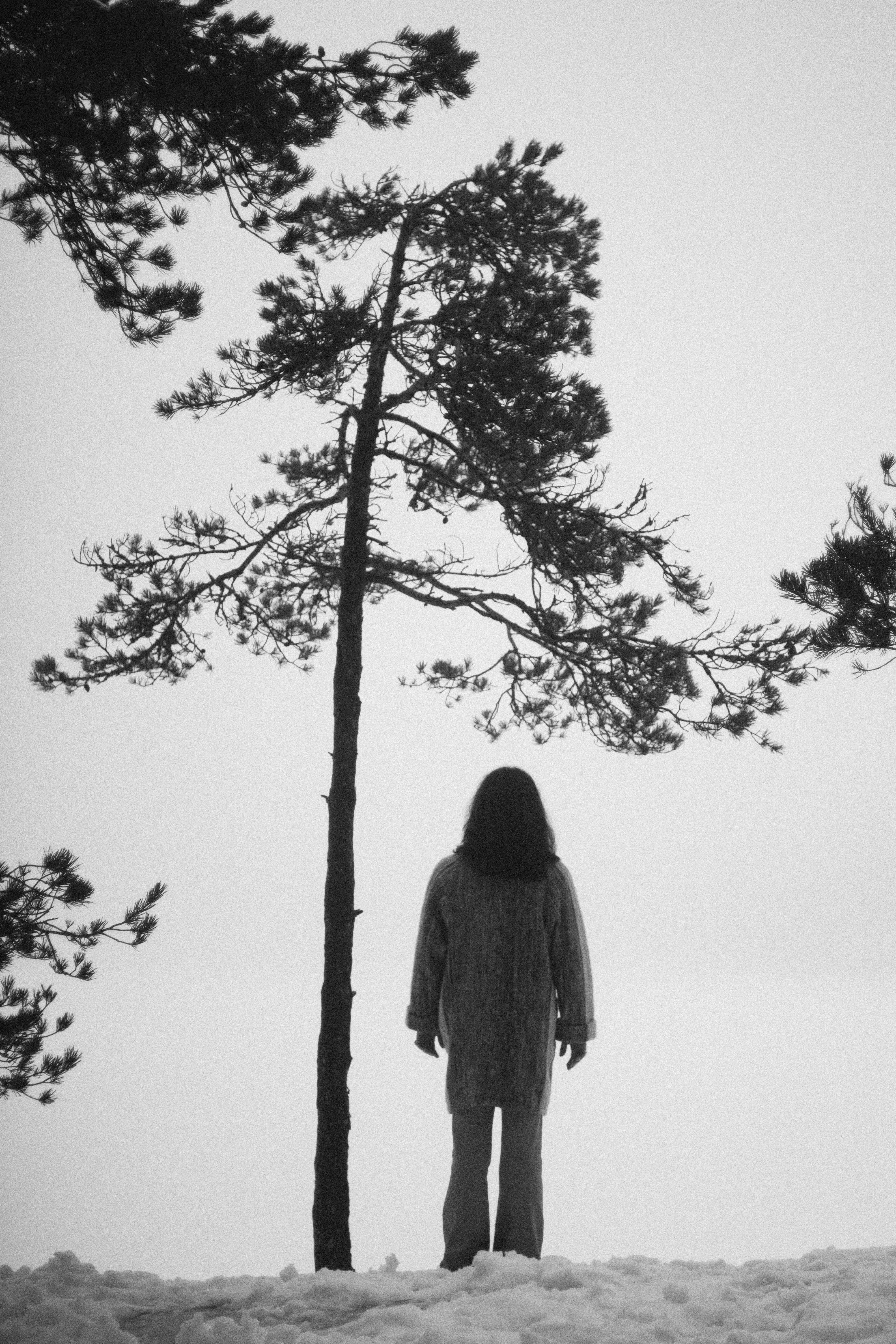 Photo by andaaa_lupulet