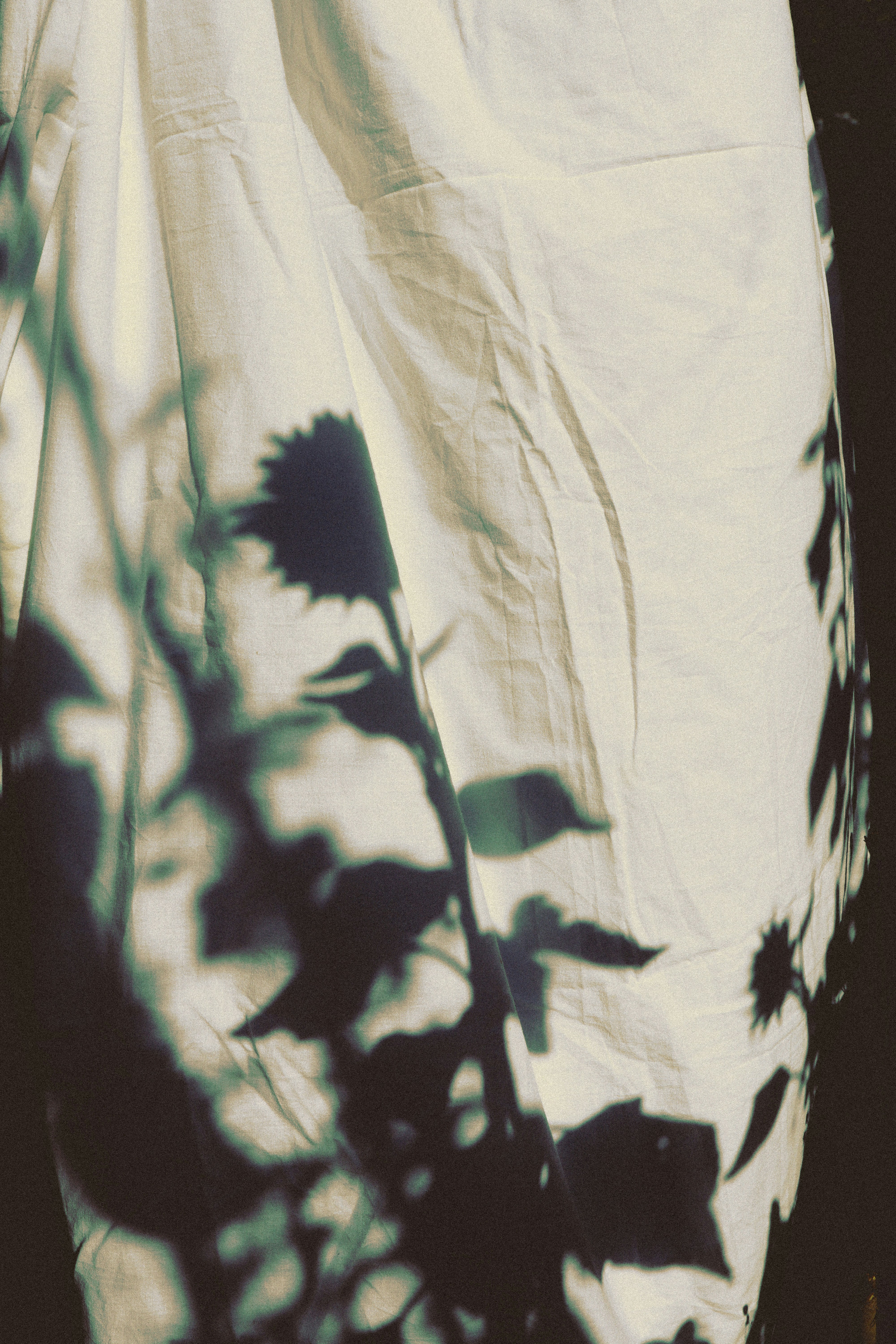 Photo by andaaa_lupulet