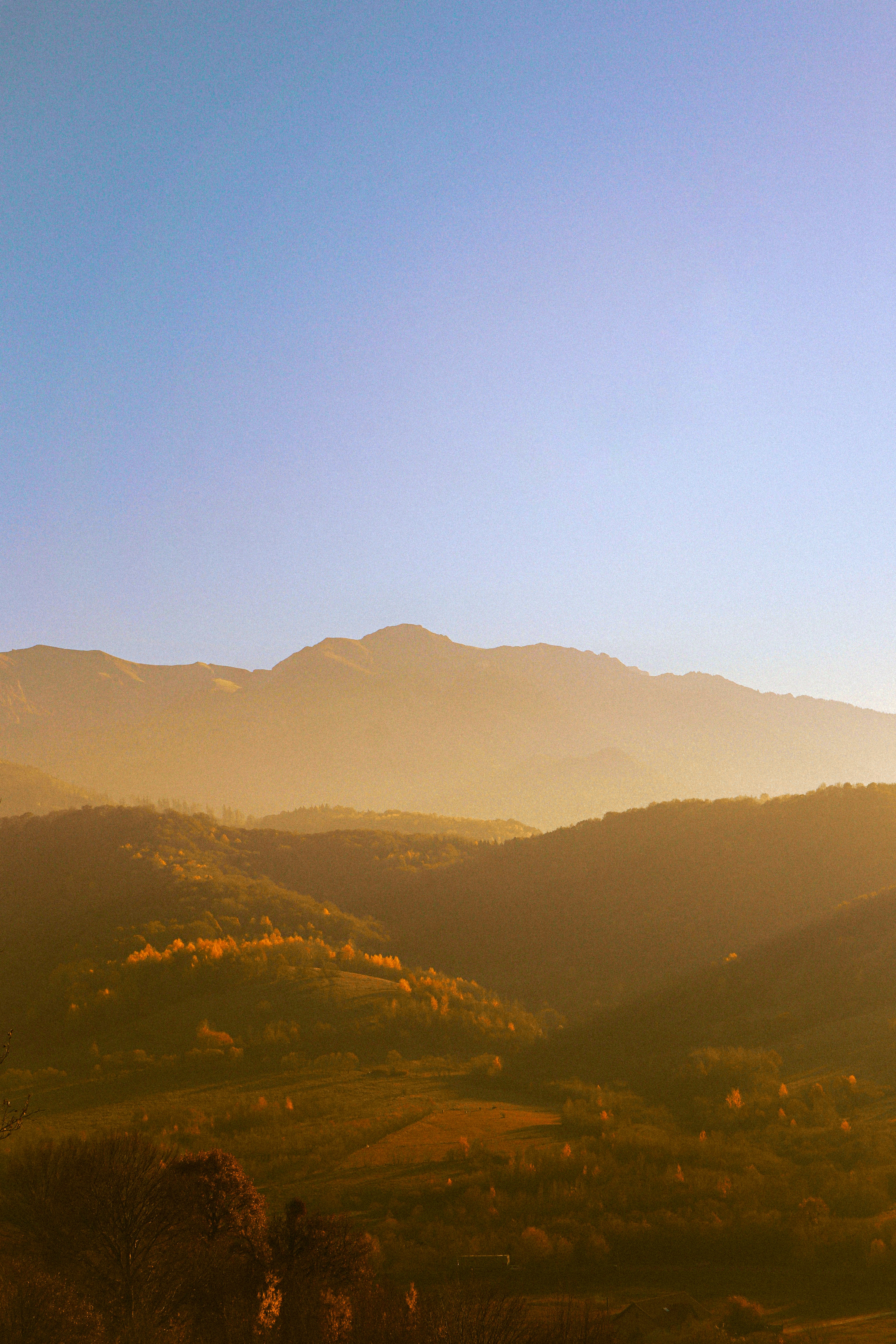 Photo by andaaa_lupulet