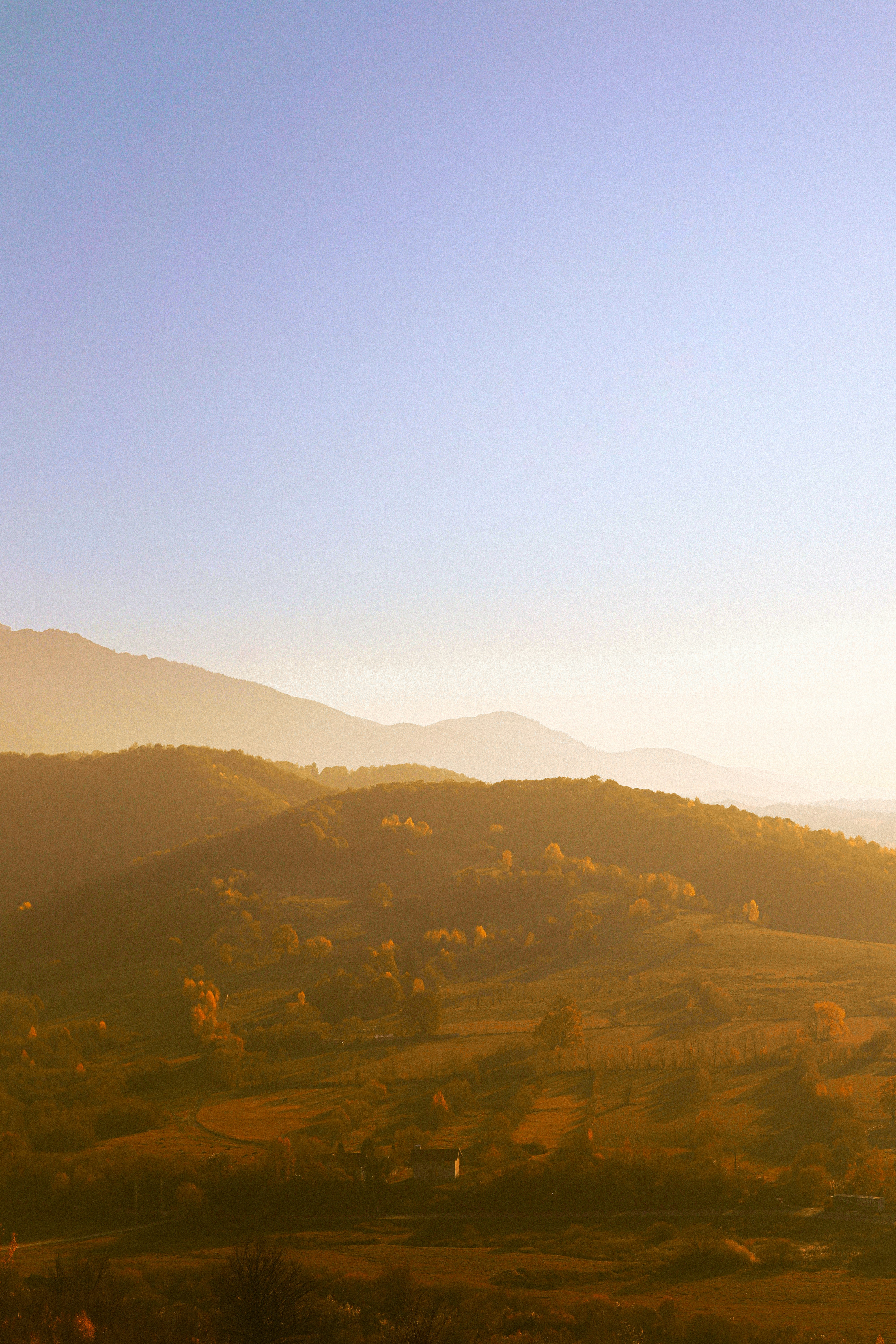 Photo by andaaa_lupulet