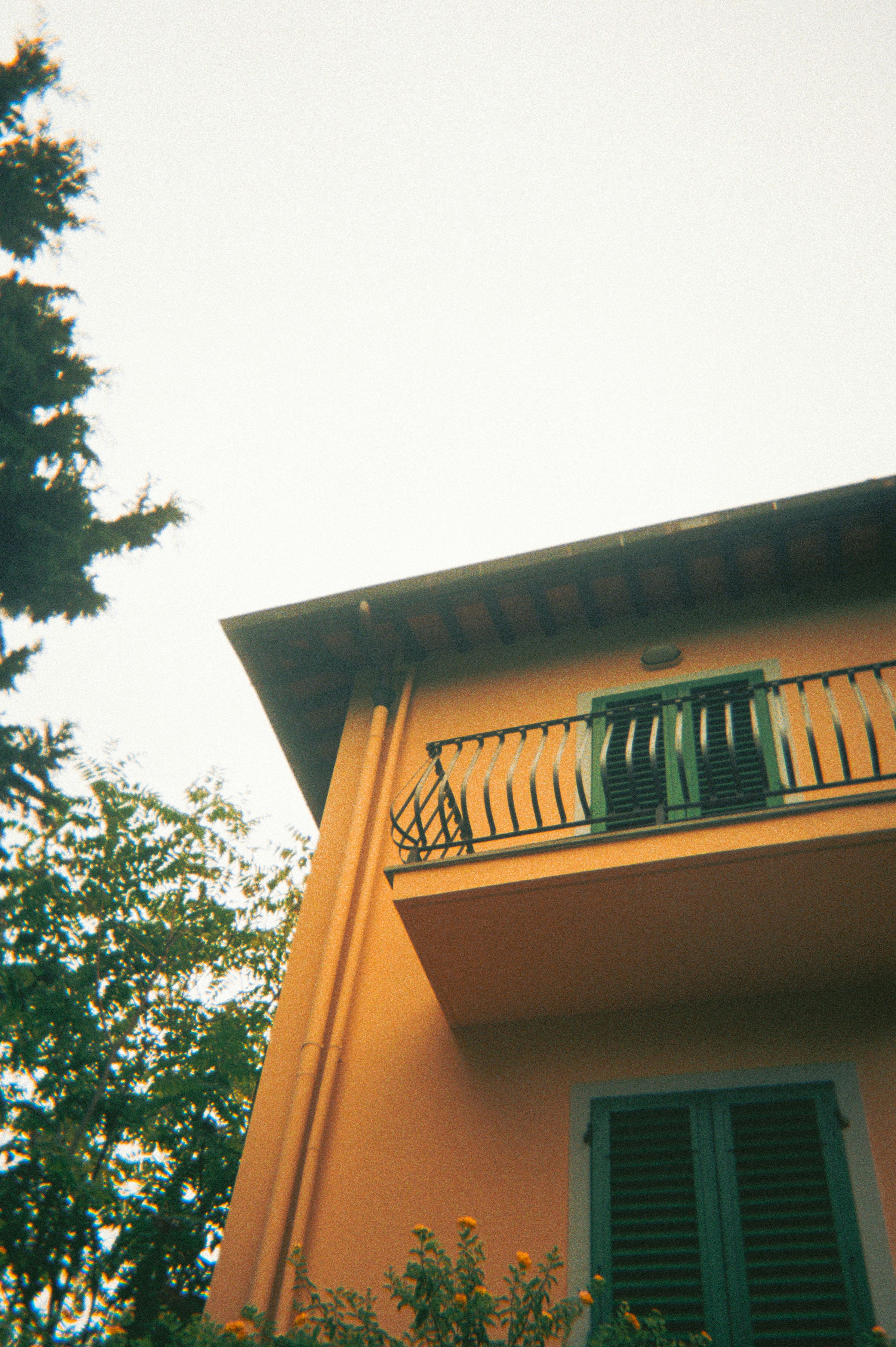 Photo by andaaa_lupulet