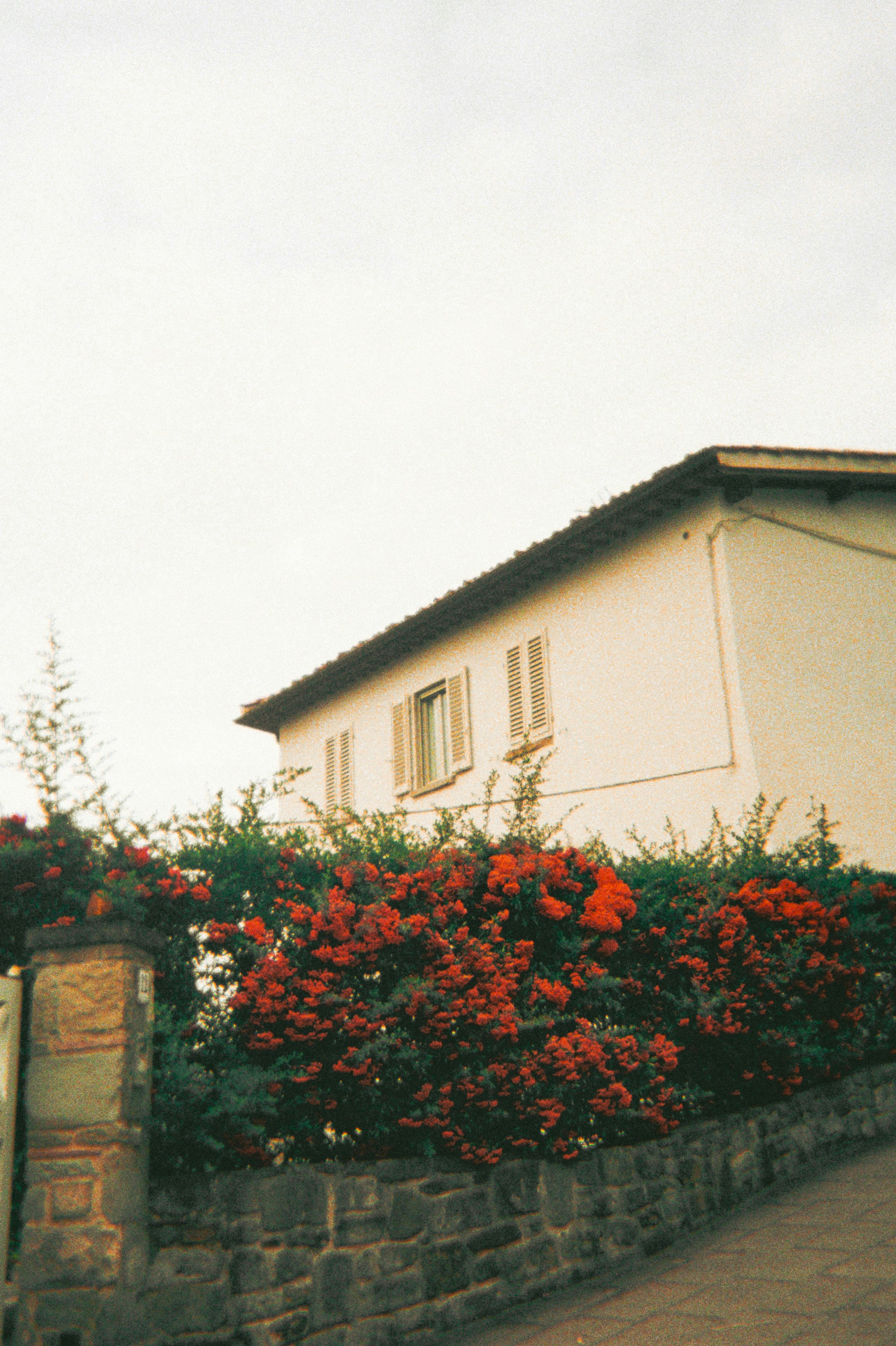 Photo by andaaa_lupulet