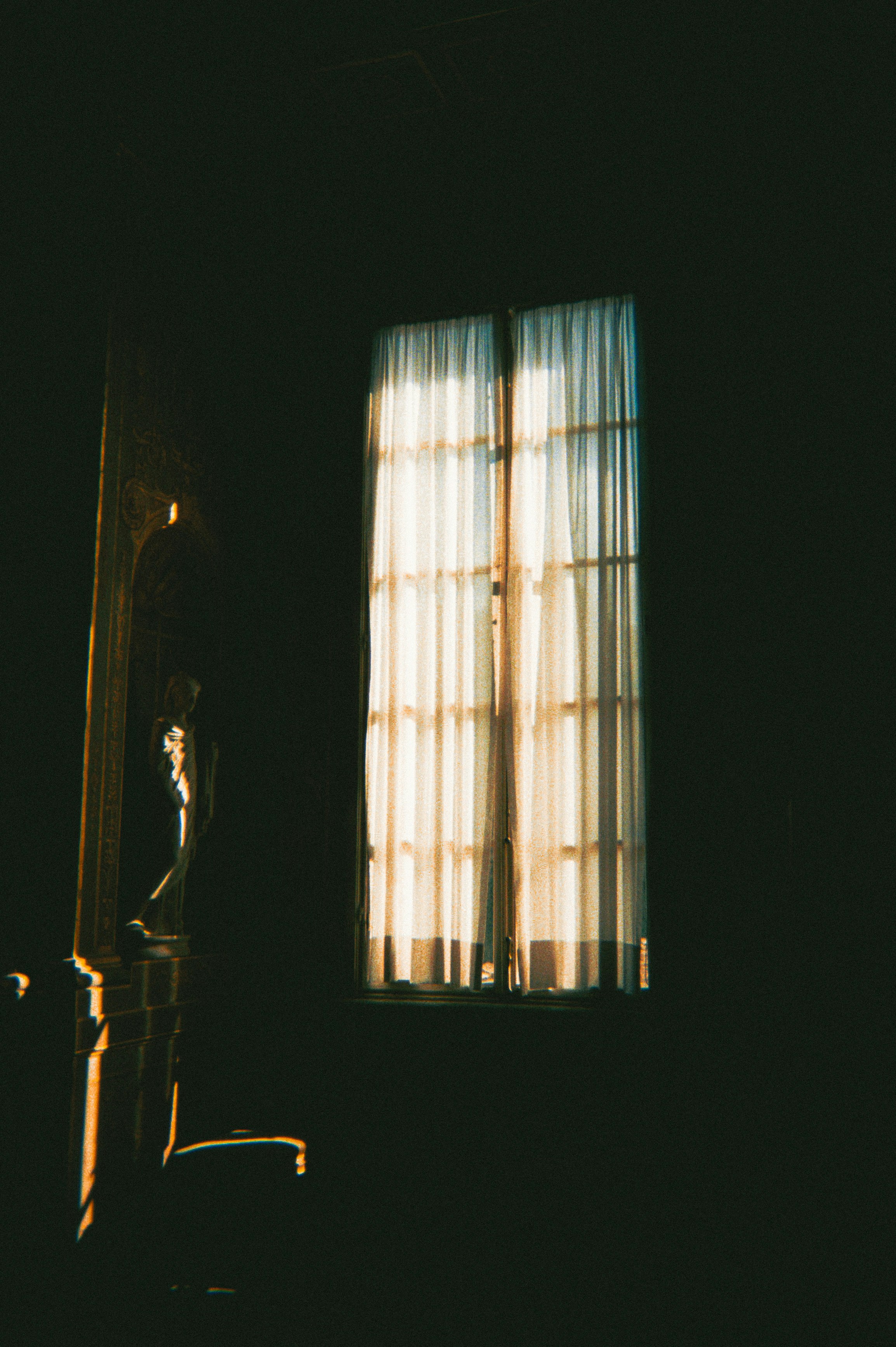 Photo by andaaa_lupulet