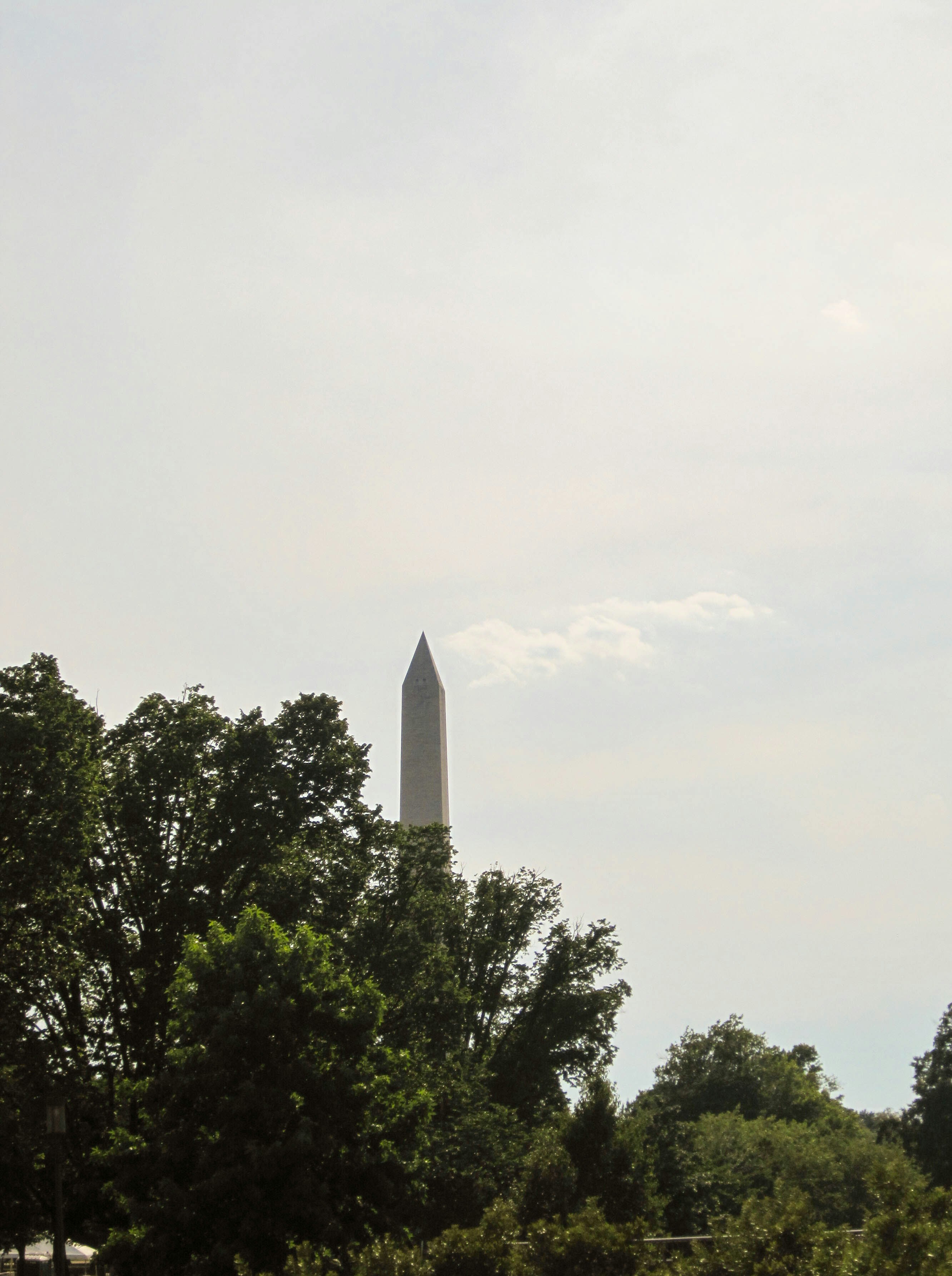 Photo by stellaastclairr