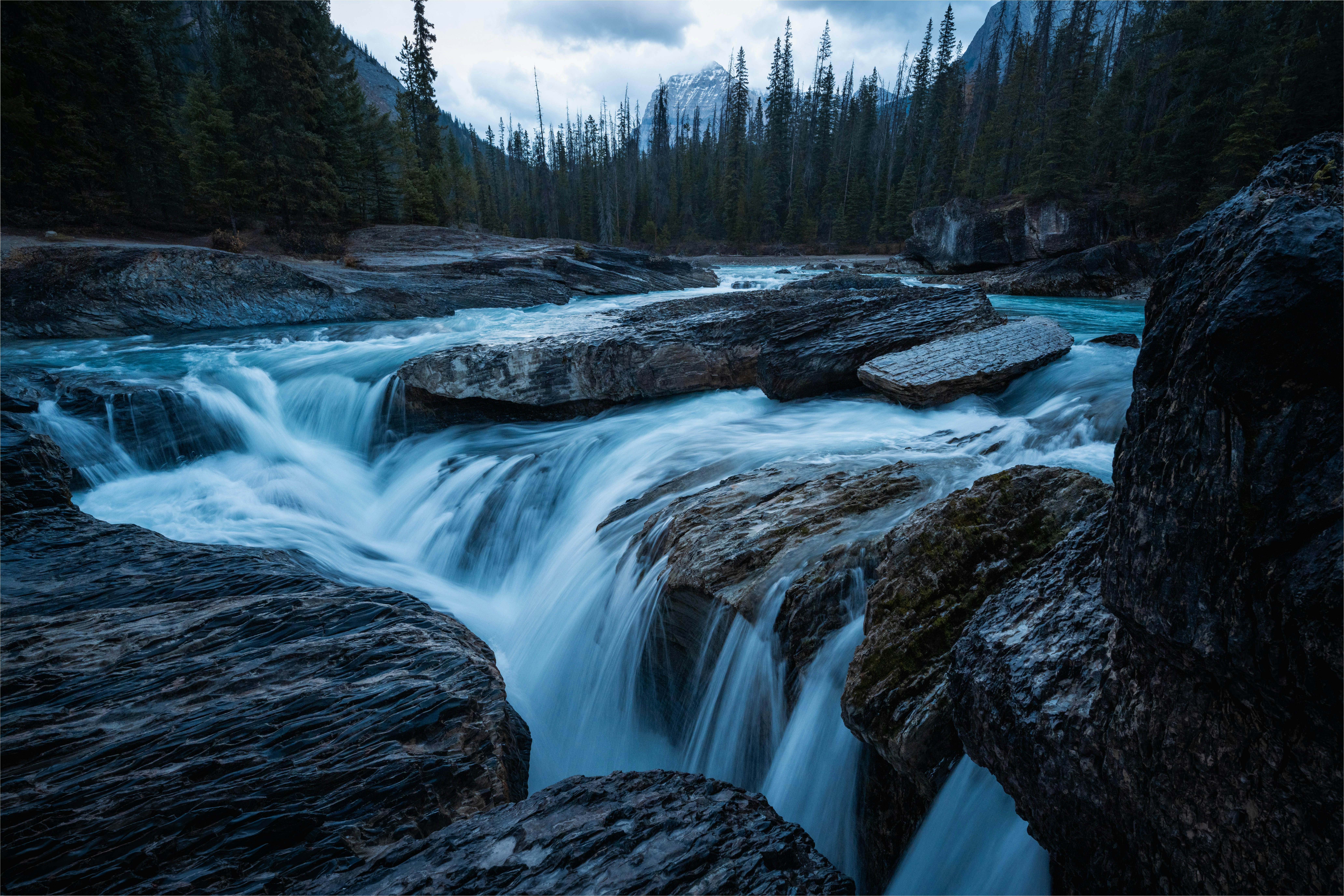 Photo by gabor_koszegi