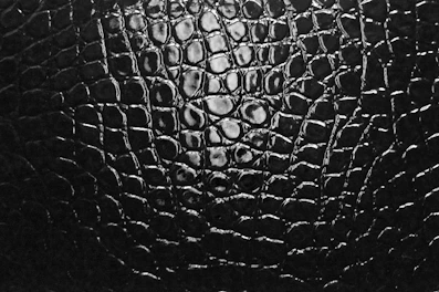 A black and white photo of a leather texture