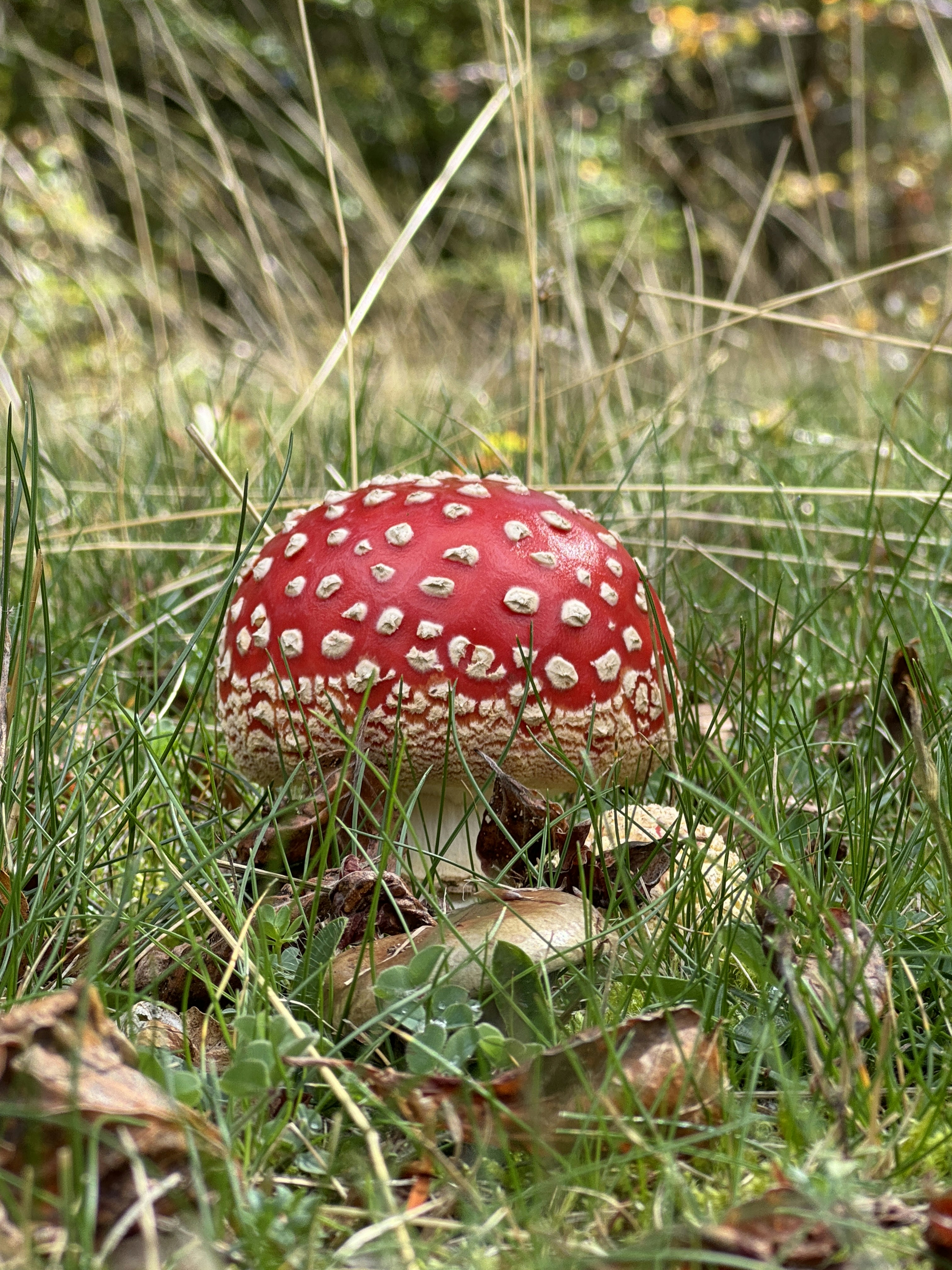 Photo by mariabolgiani