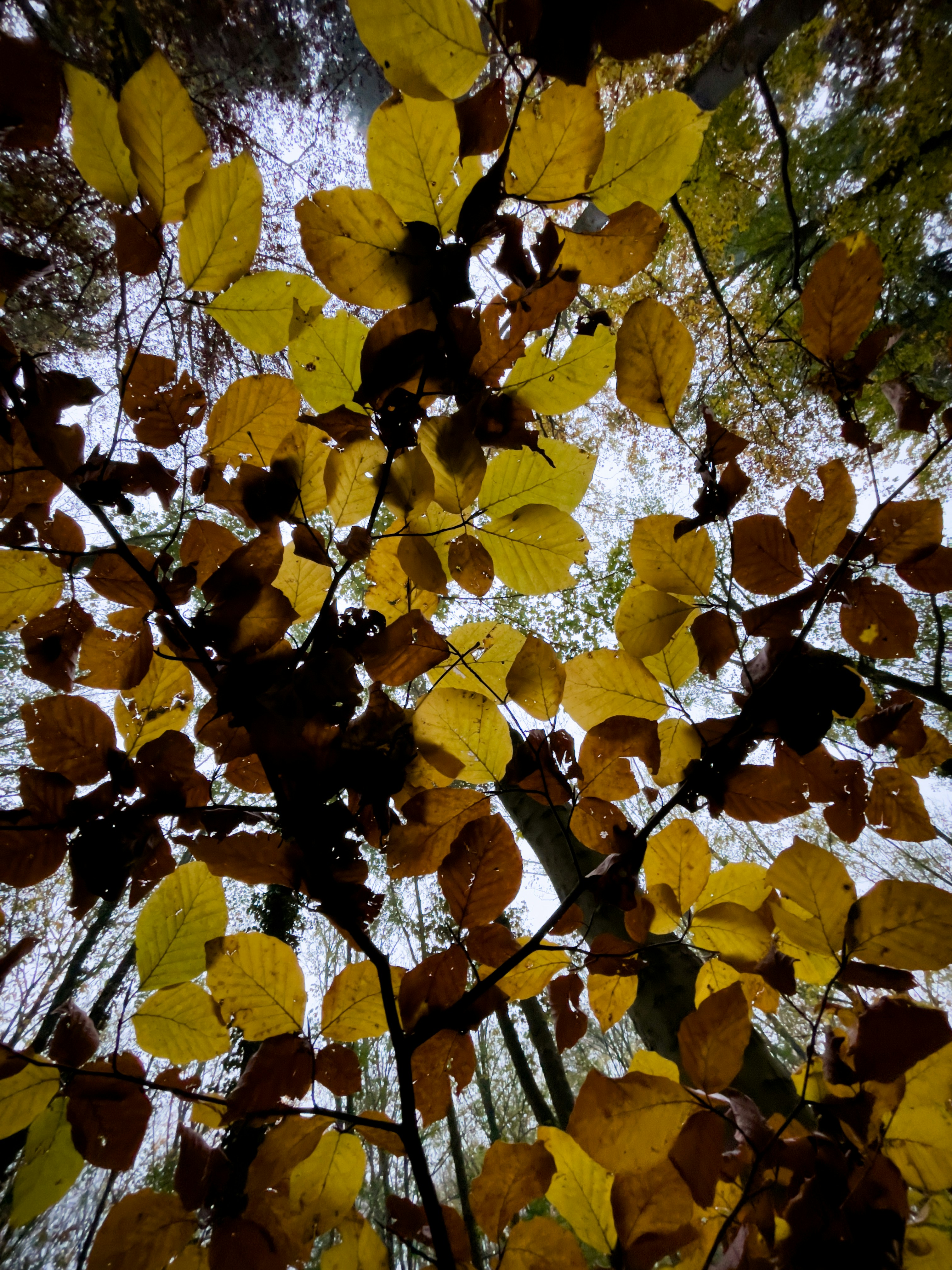 Photo by hdbernd