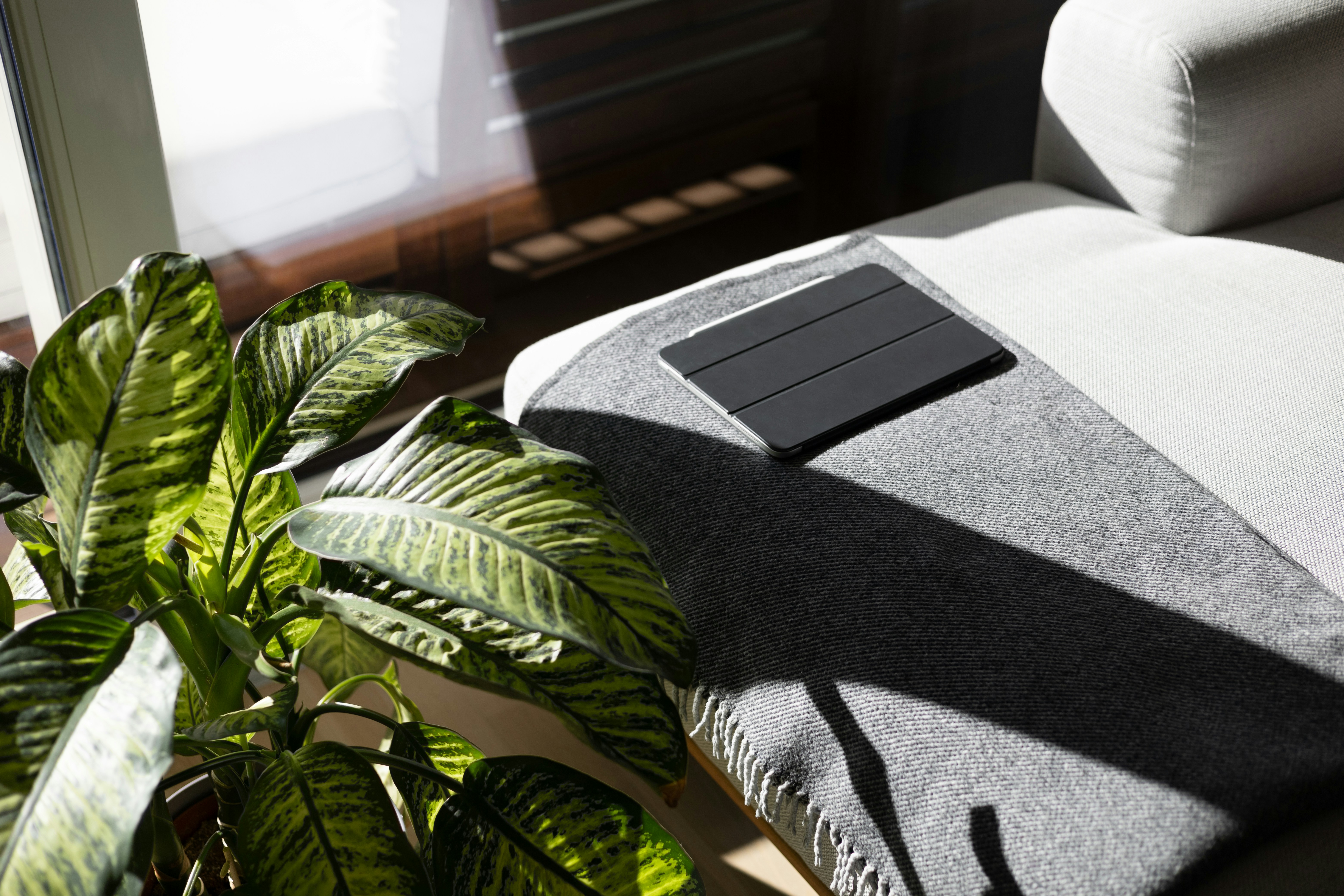 A person sits on a couch in a bright, modern living room, completely immersed while wearing a virtual reality headset and holding controllers.