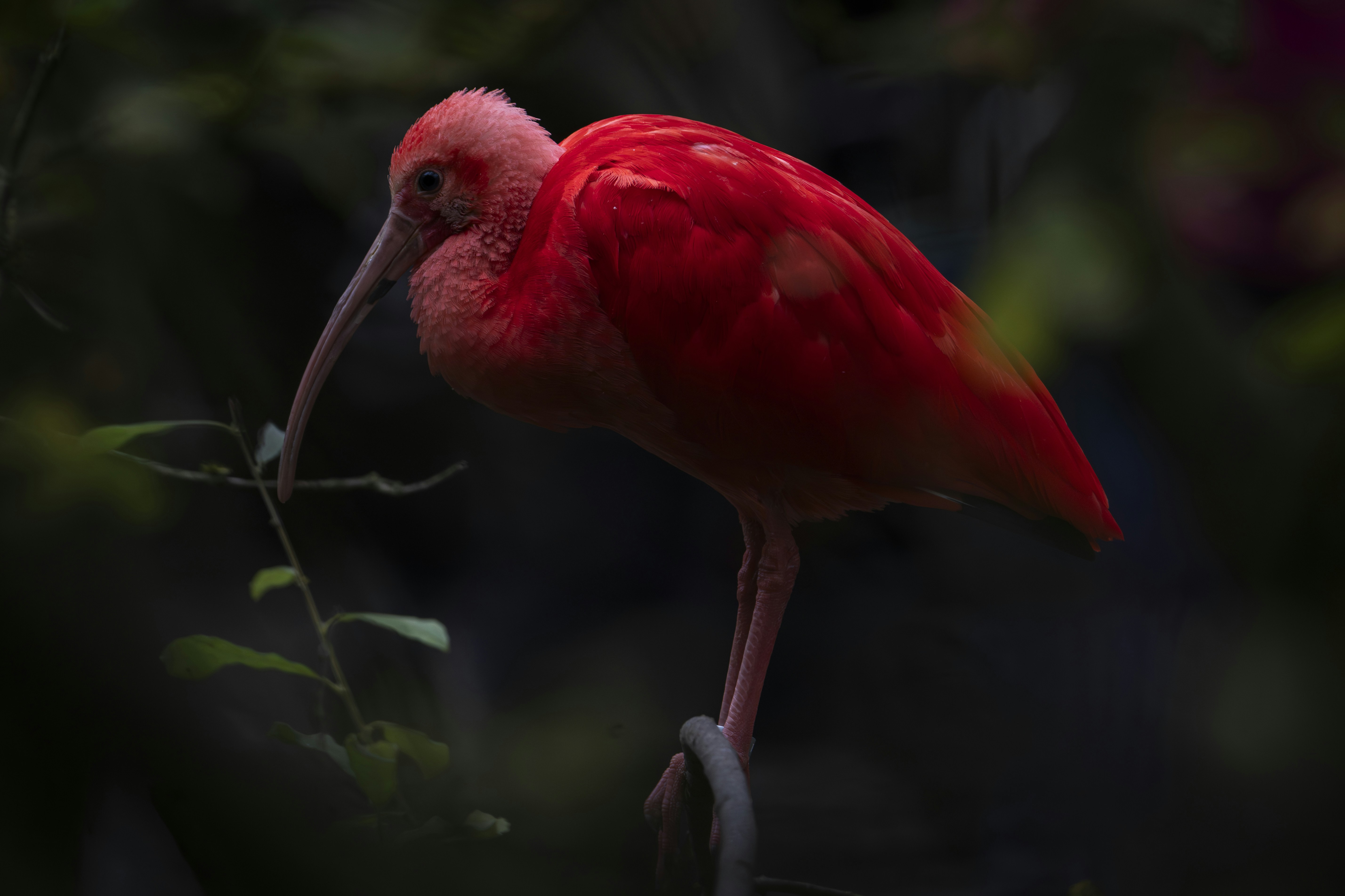 Photo by breadcrumbs