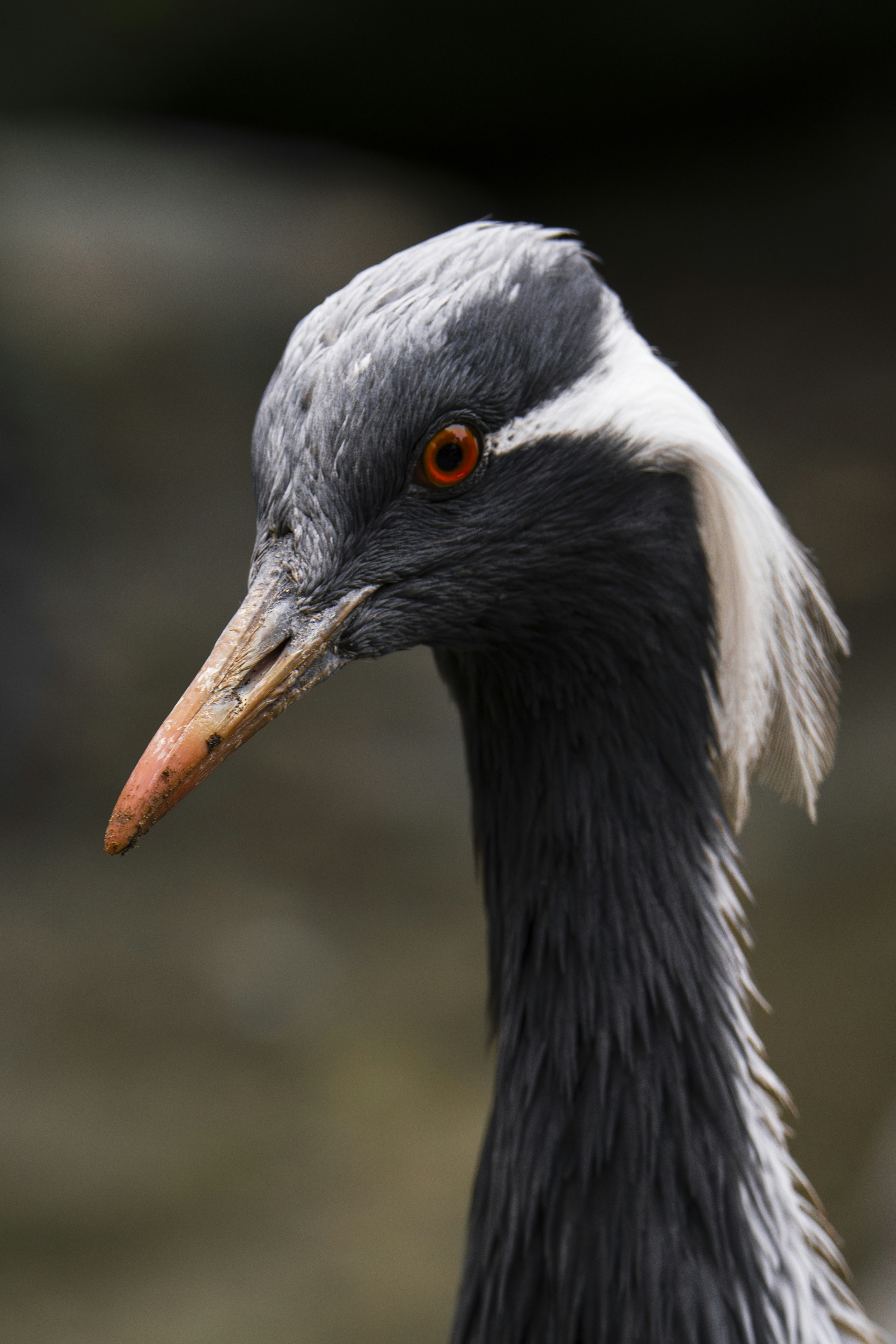 Photo by breadcrumbs