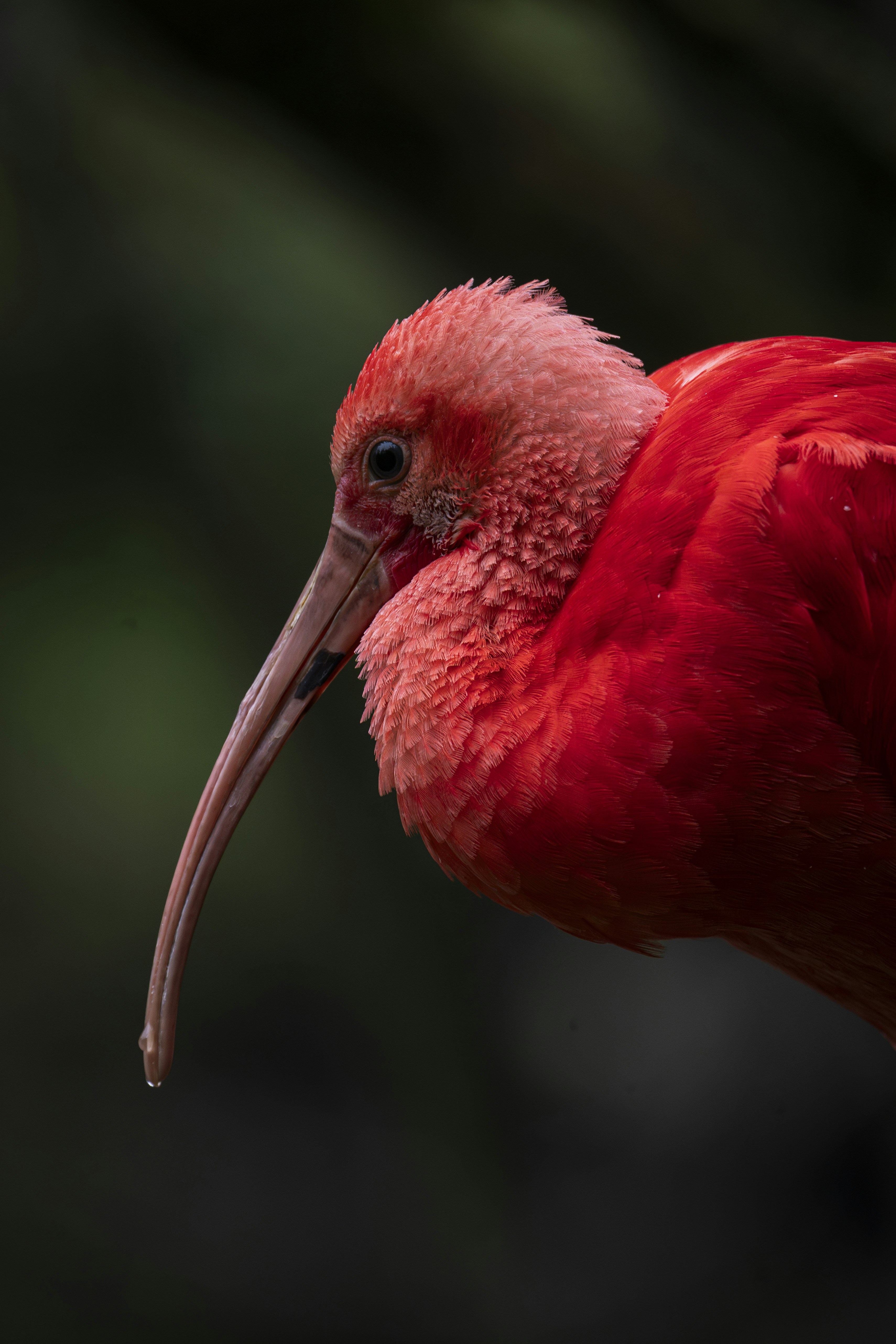 Photo by breadcrumbs