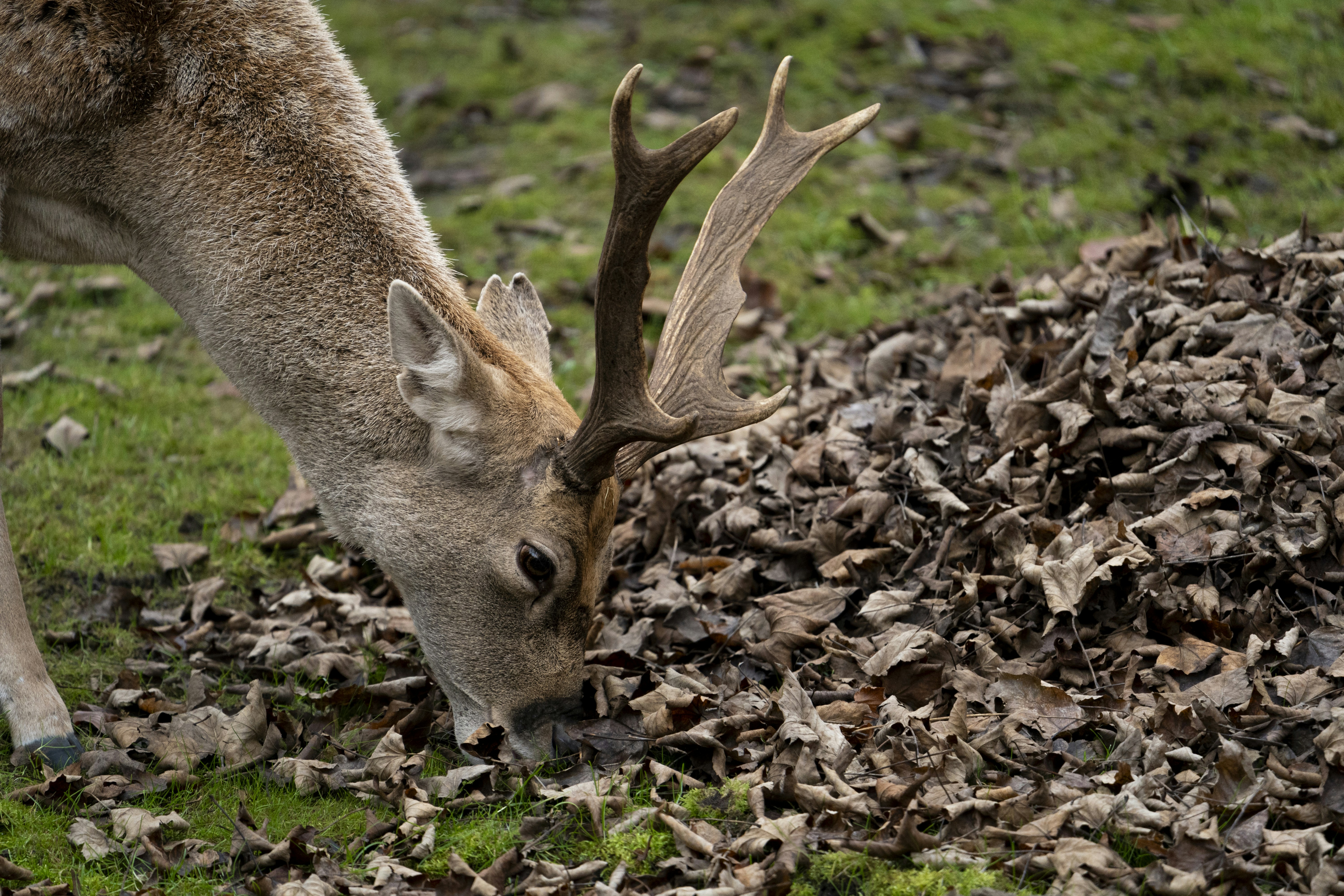 Photo by breadcrumbs