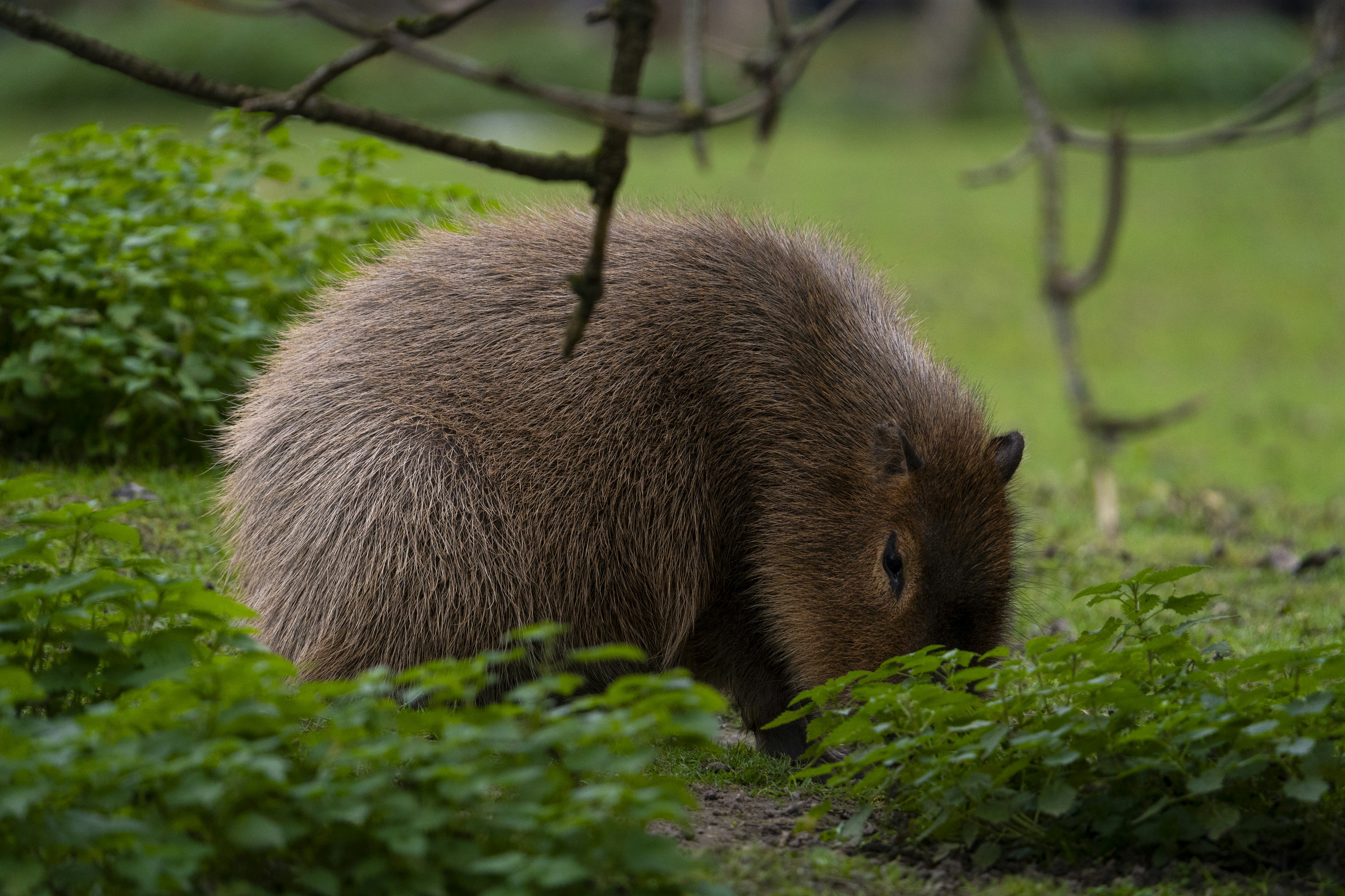 Photo by breadcrumbs