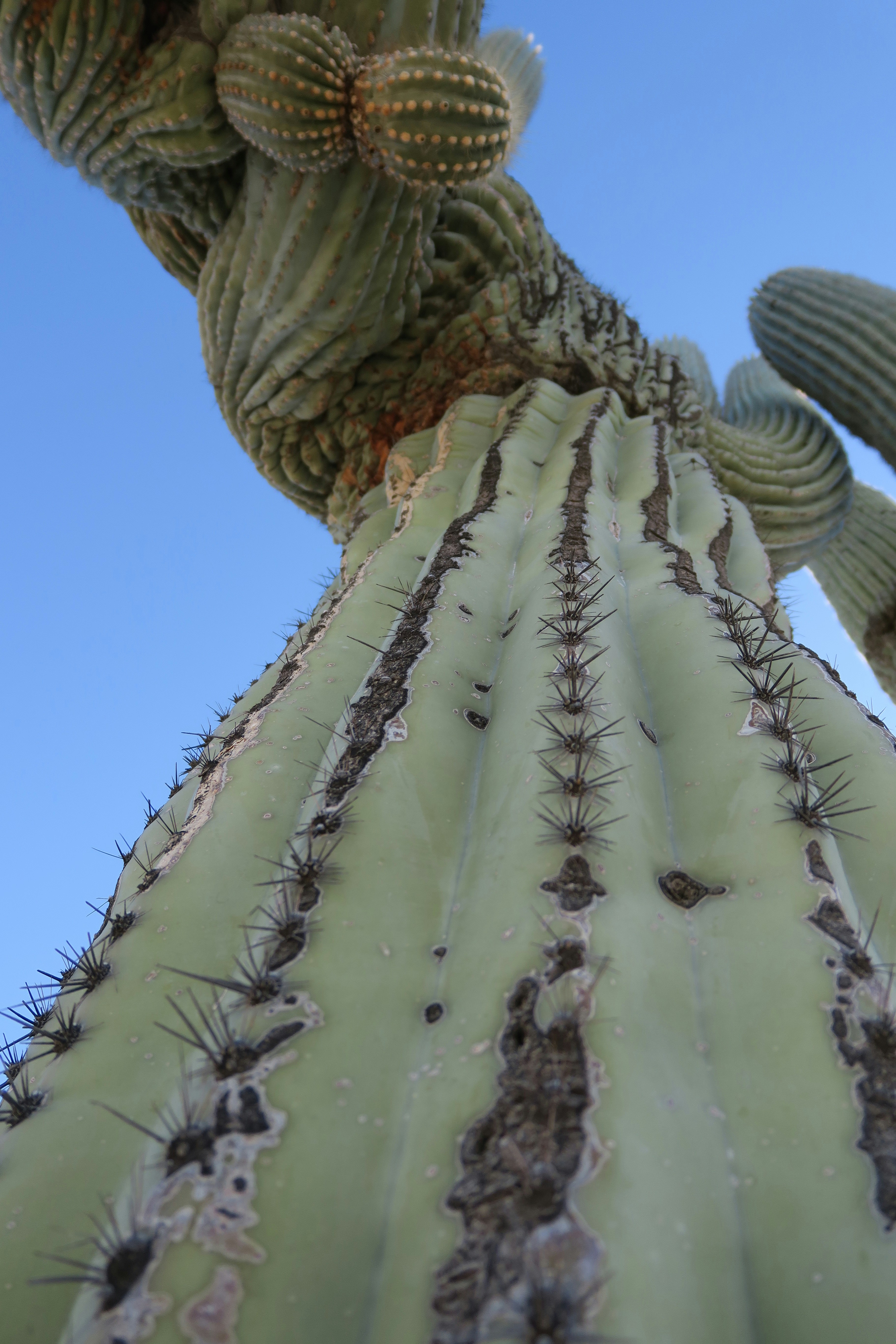 Photo by wildflowerandphoenix