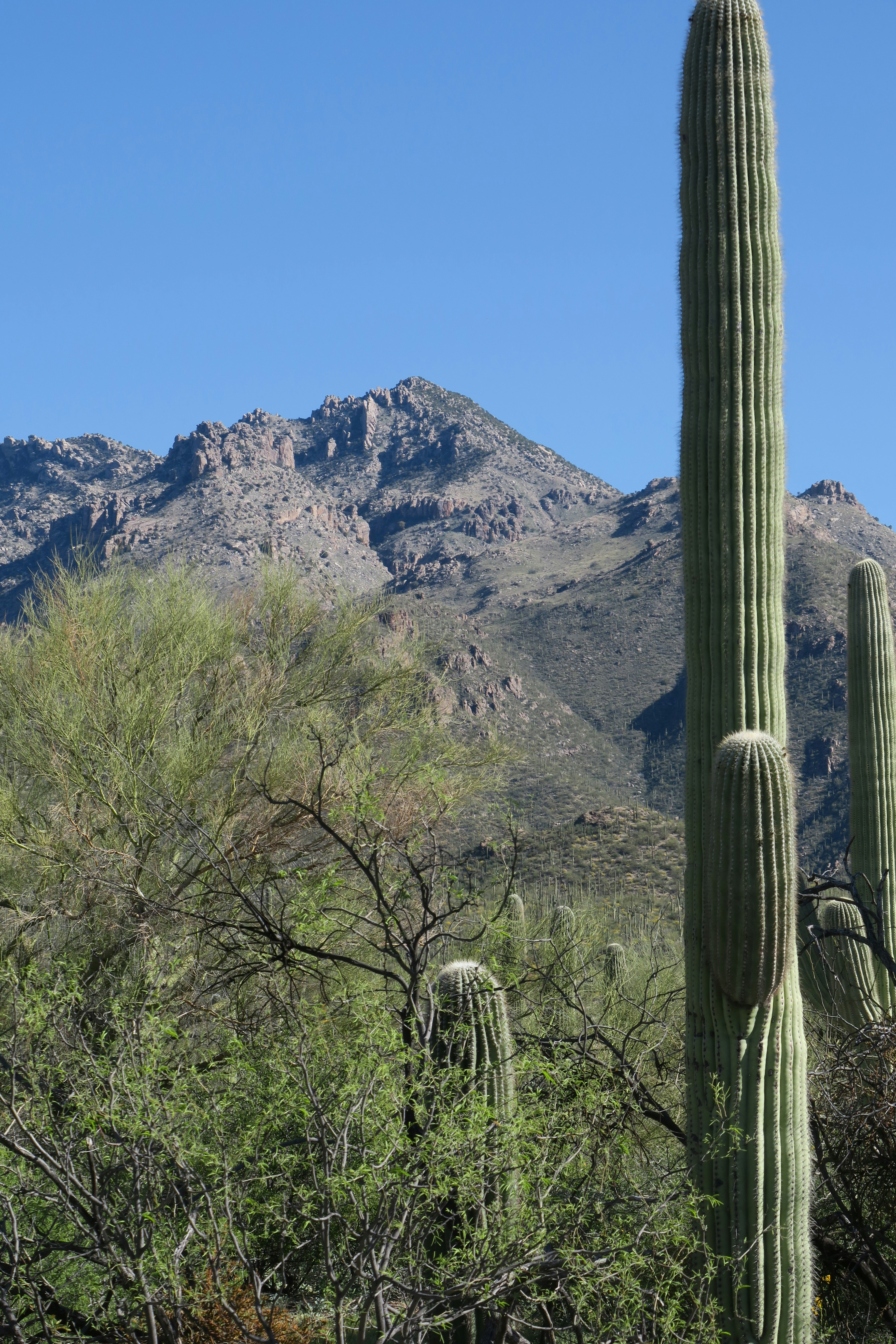 Photo by wildflowerandphoenix