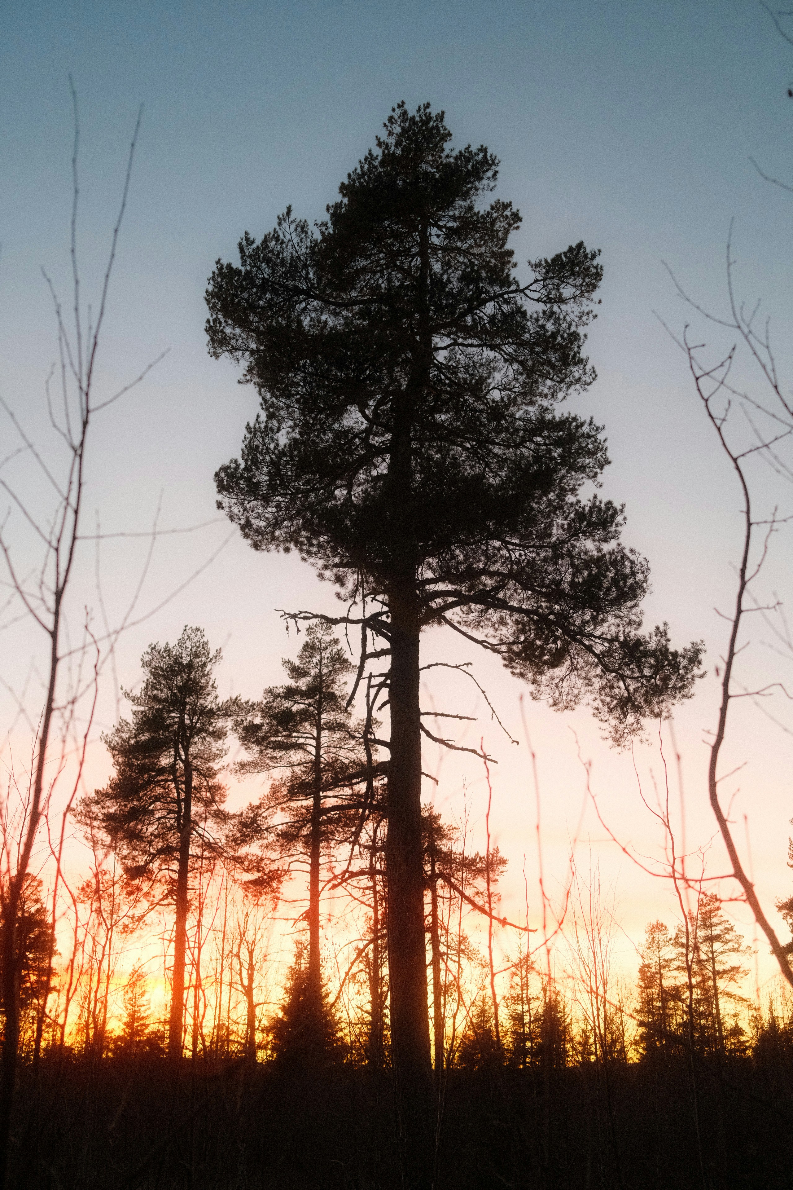 Photo by sindreaalberg