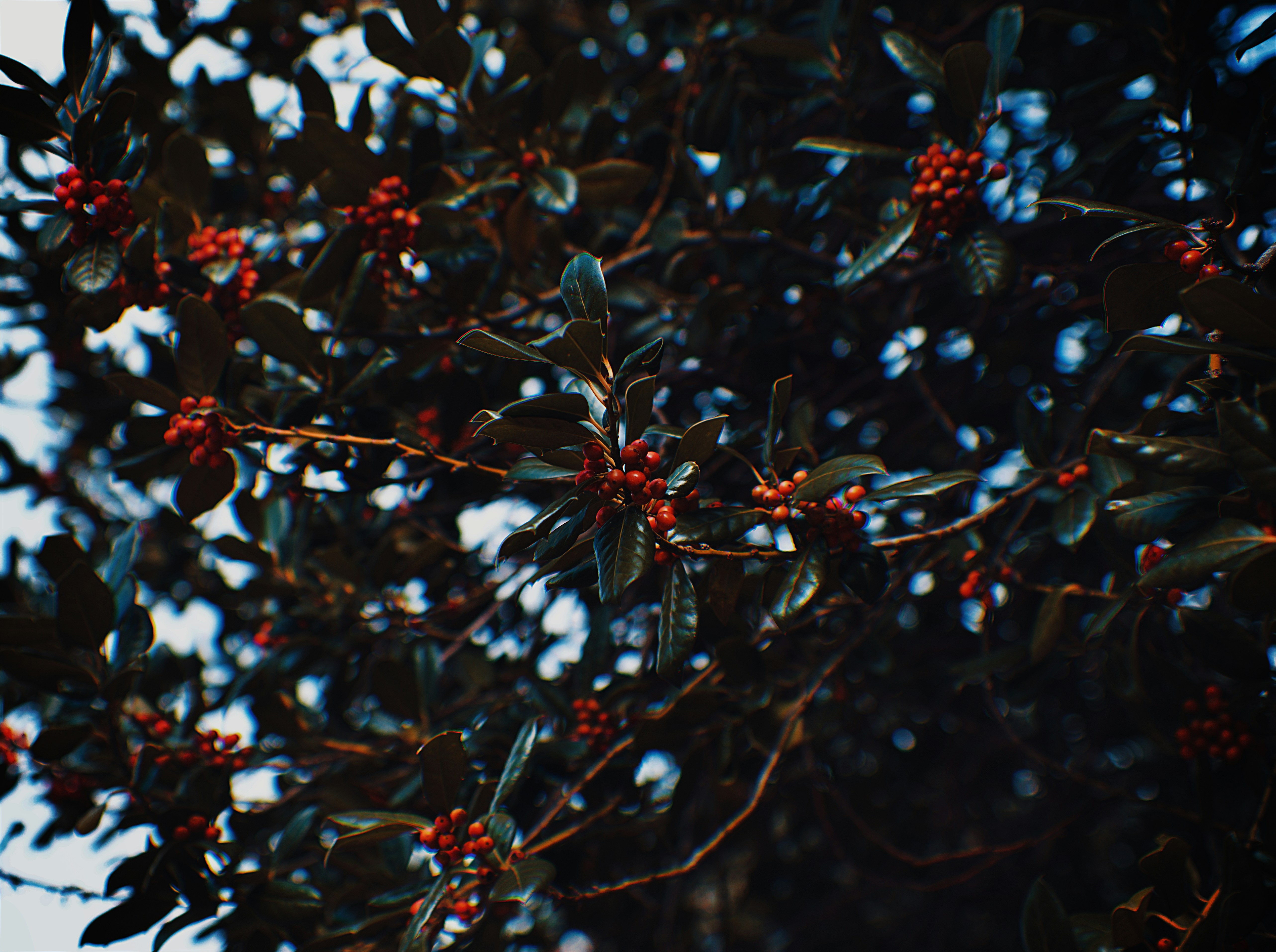 A bird is perched on a branch of a tree