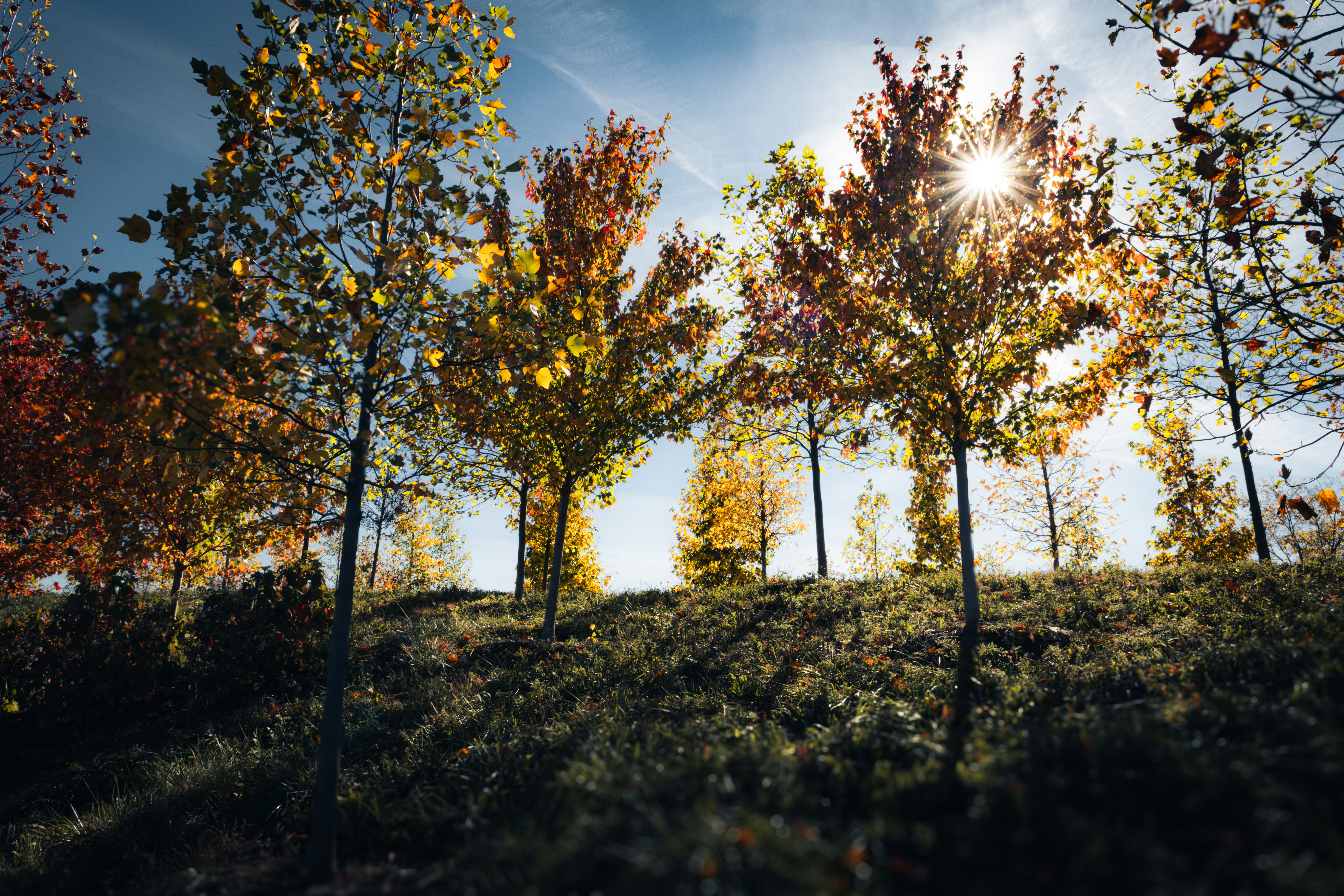 Photo by sriniunsplash
