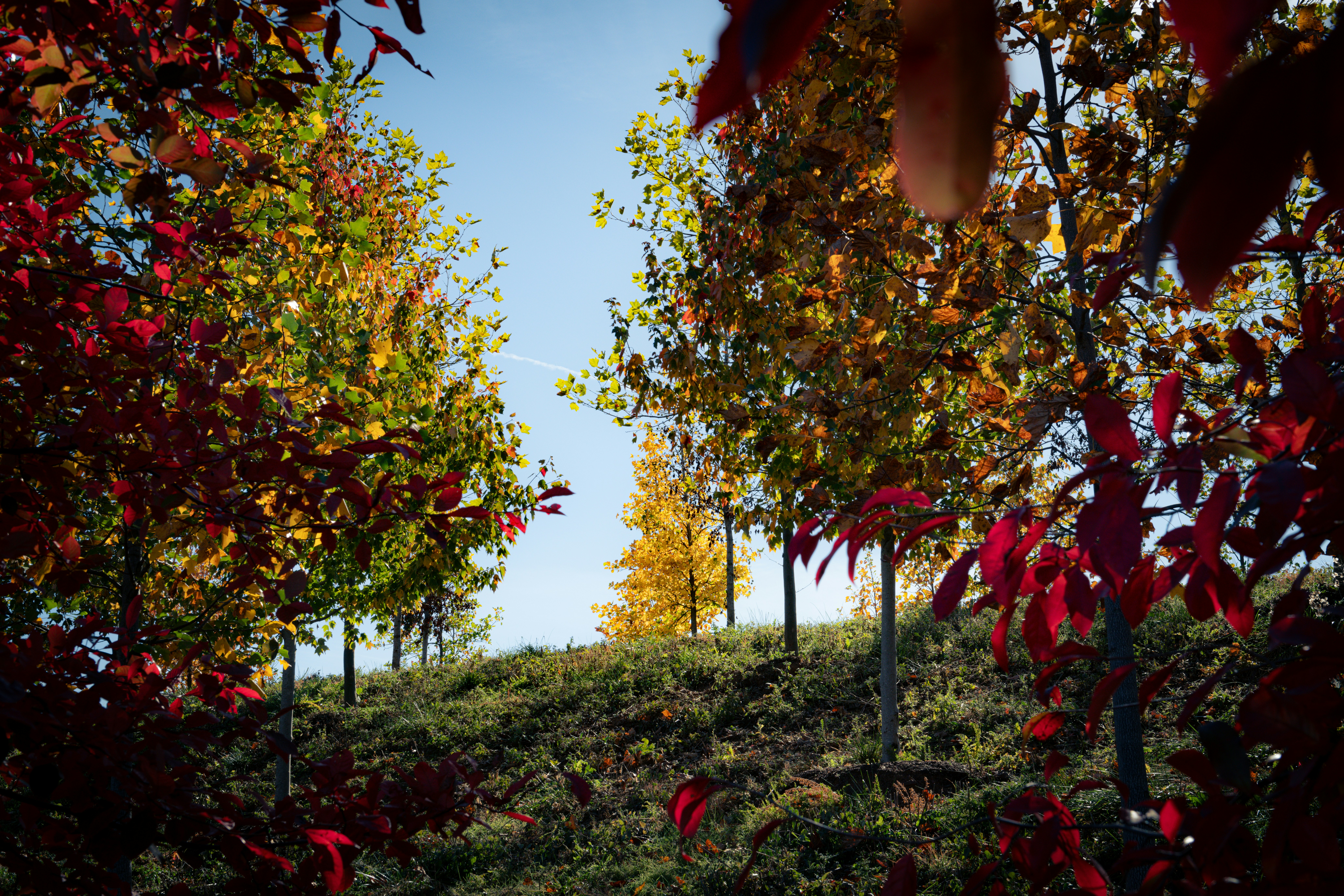 Photo by sriniunsplash