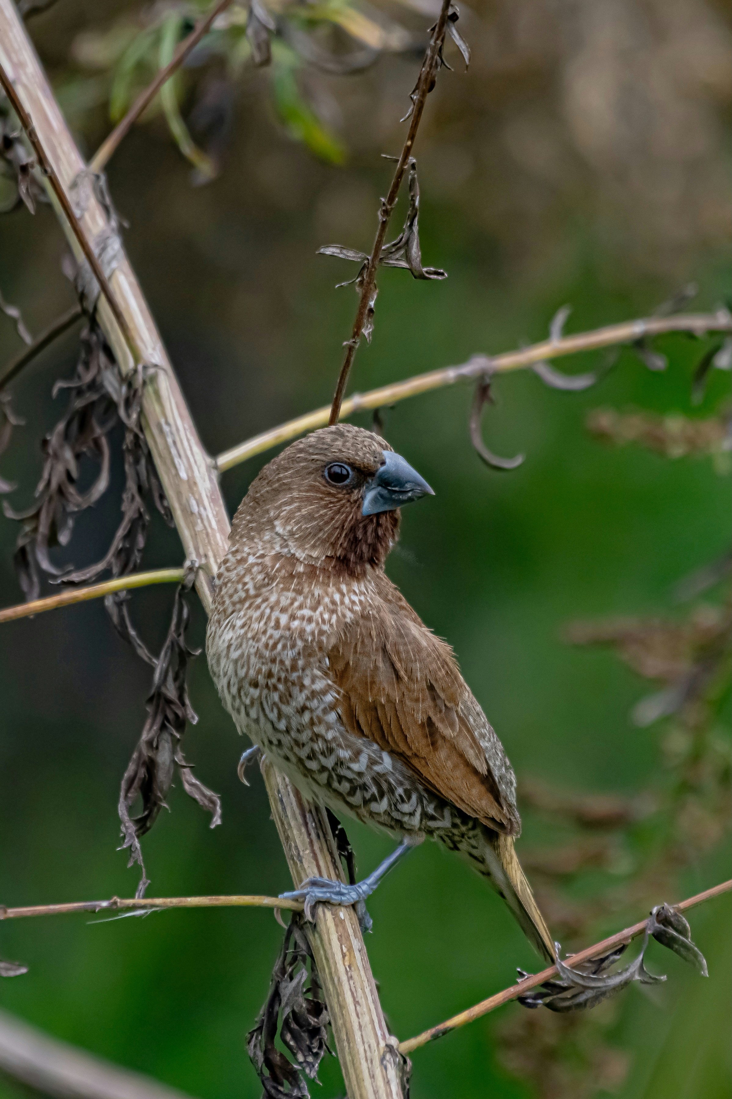 Photo by briadorothy