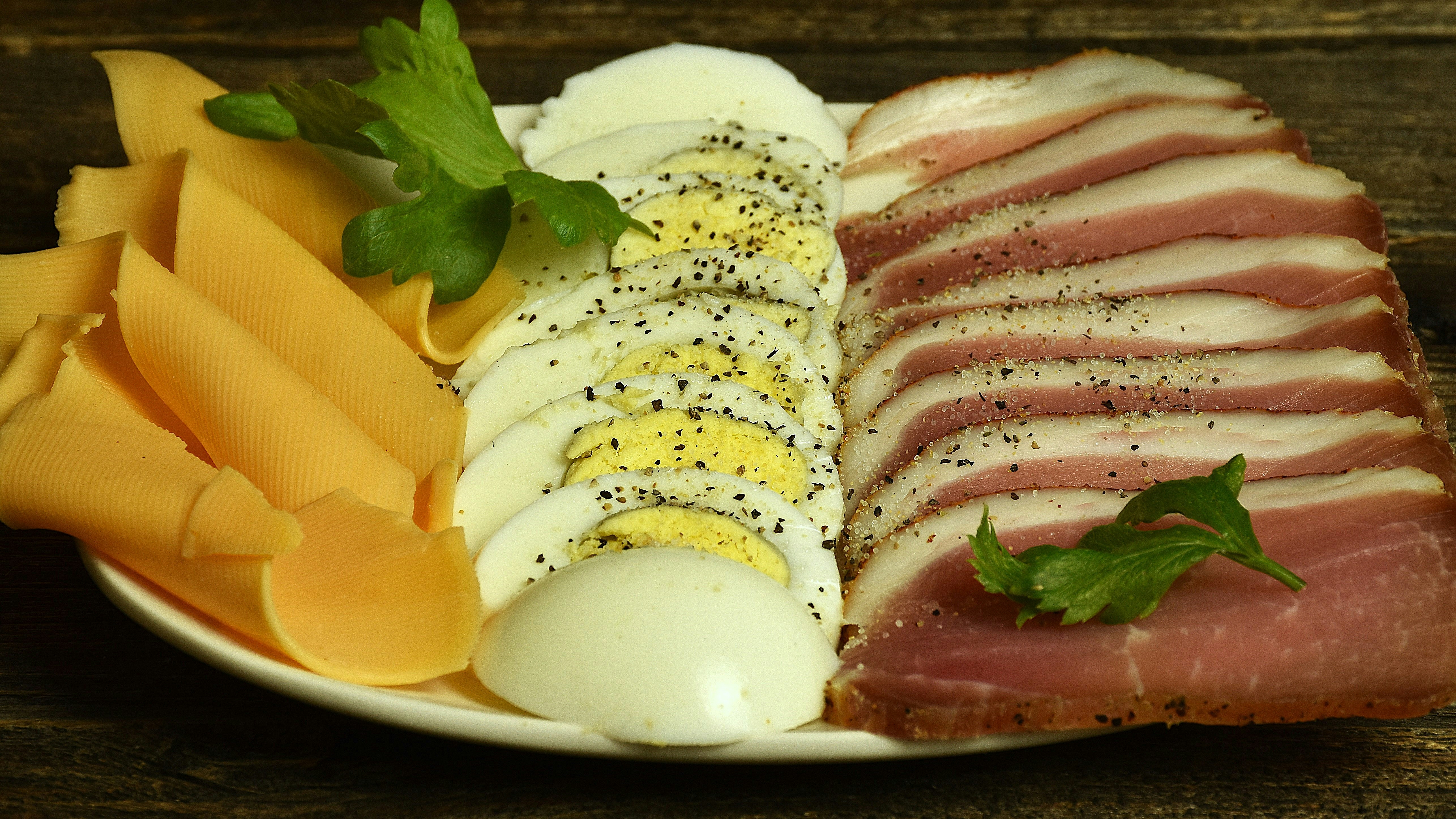 Digest №9: On the Health Implications of an Animal-Based Ketogenic Diet