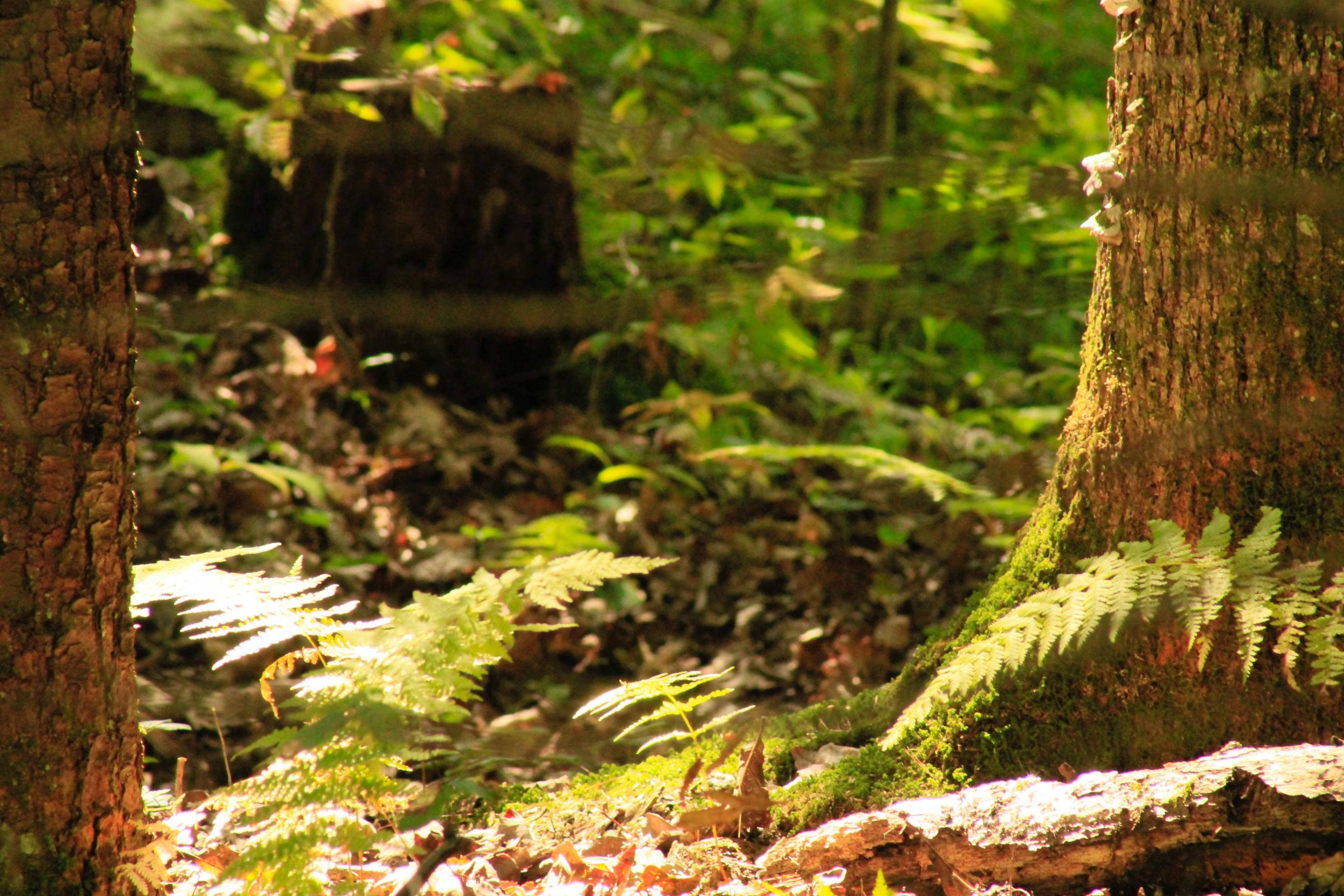 Photo by lisa_duqlaw