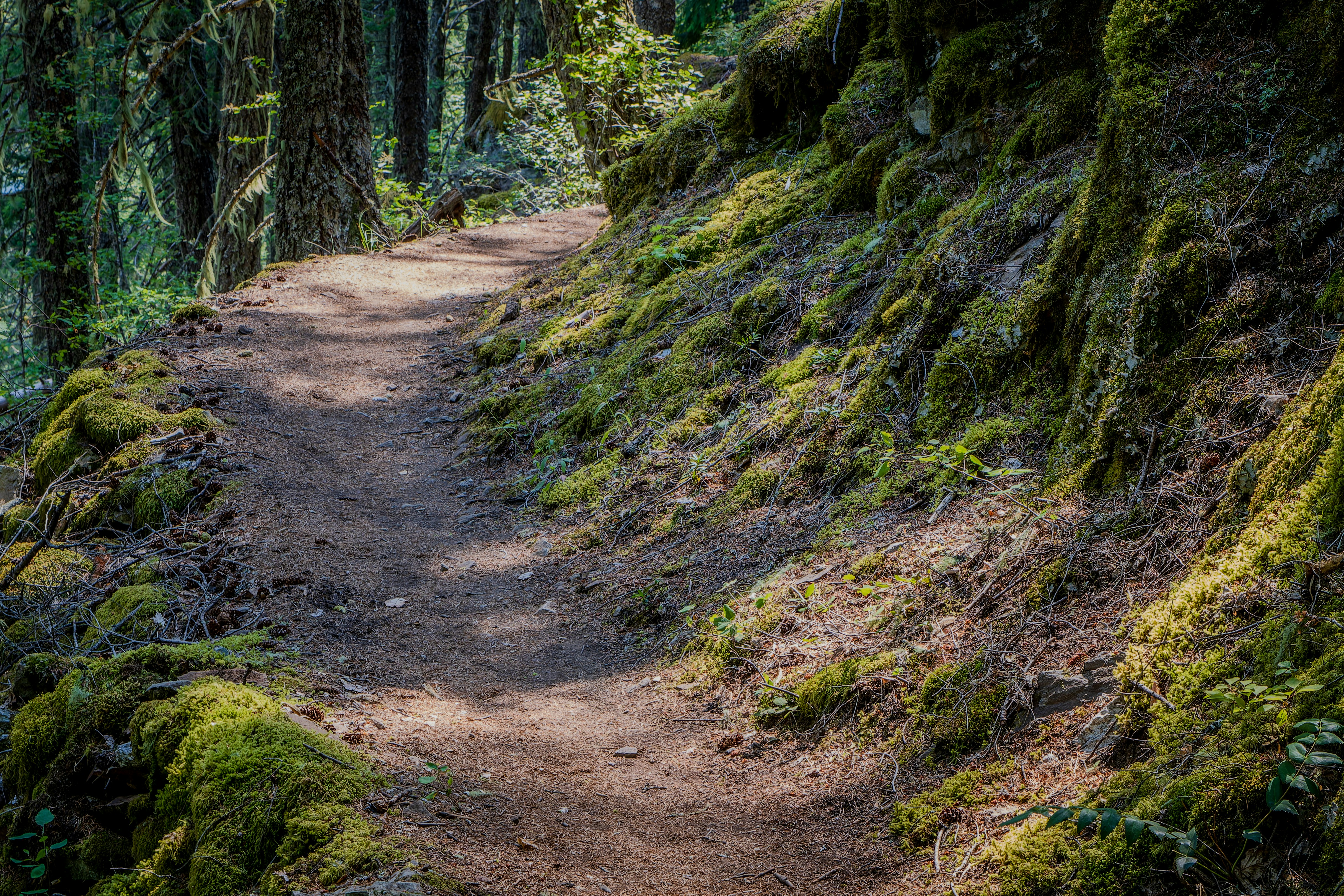 Photo by peterbbryan