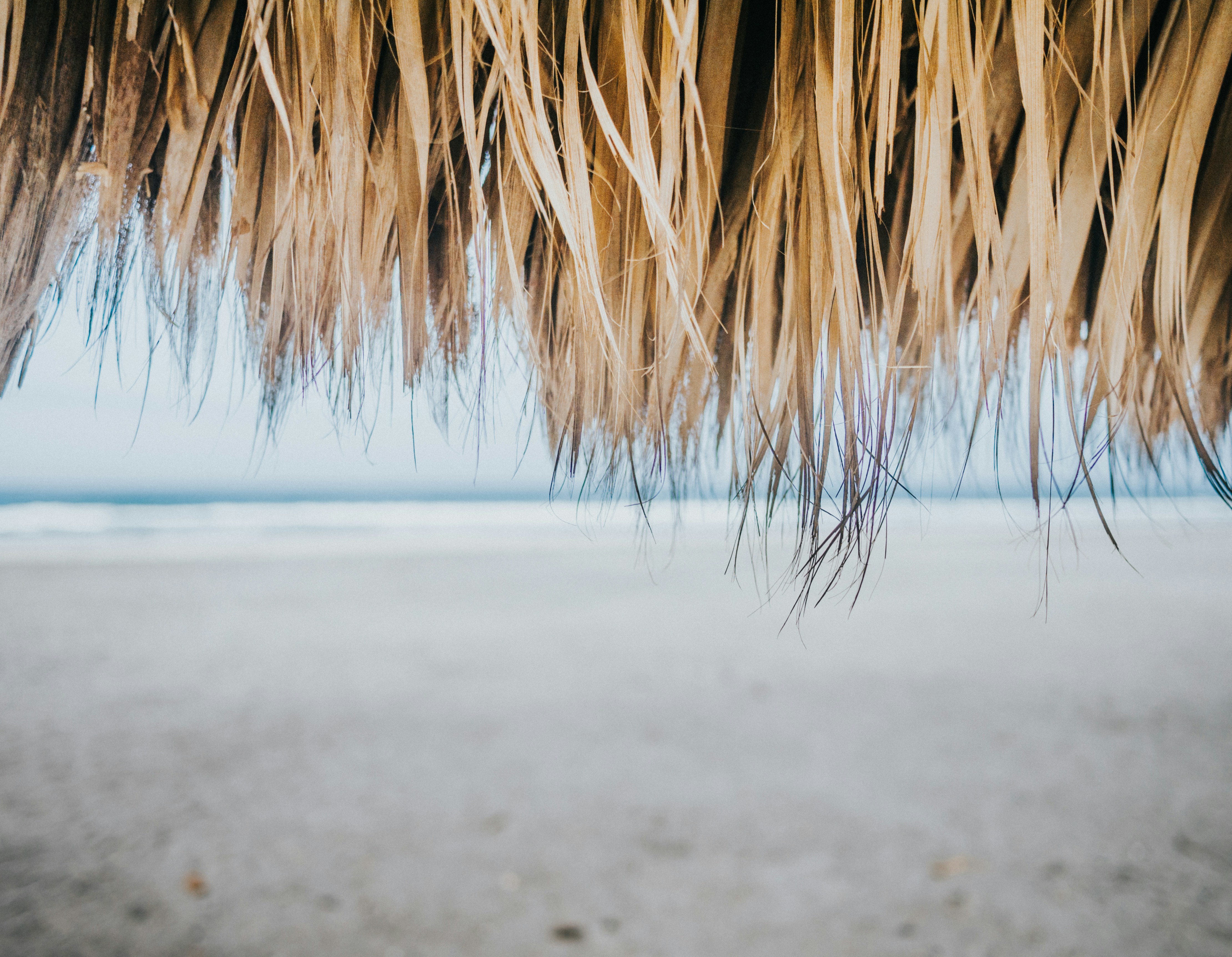 Photo by candegrapher