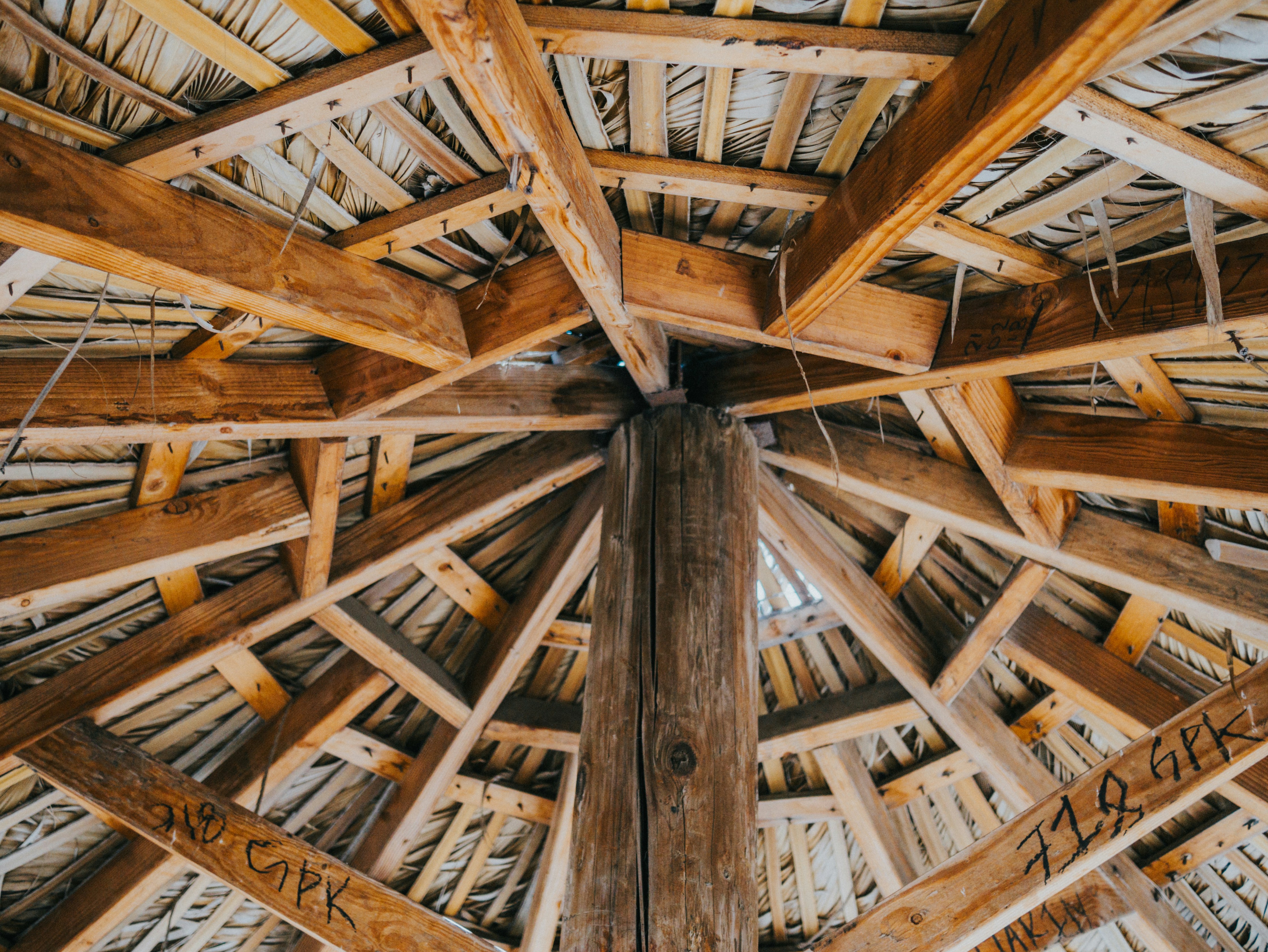 Photo by candegrapher